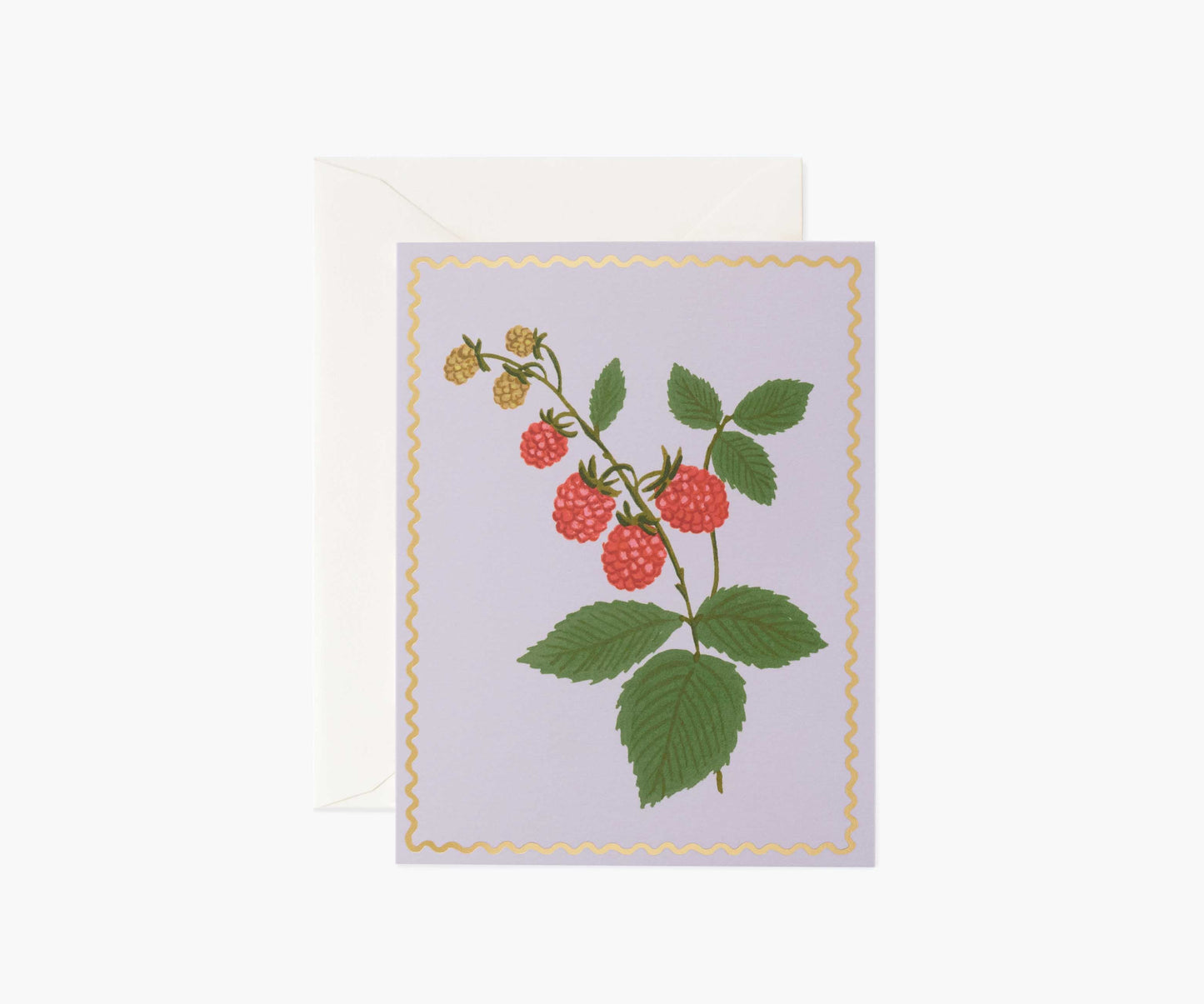 Raspberry Everyday Card - Single Card - Greeting Card with Envelope