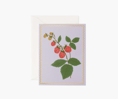 Raspberry Everyday Card - Single Card - Greeting Card with Envelope