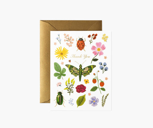 Curio Thank You Card - Single Card - Greeting Card with Envelope