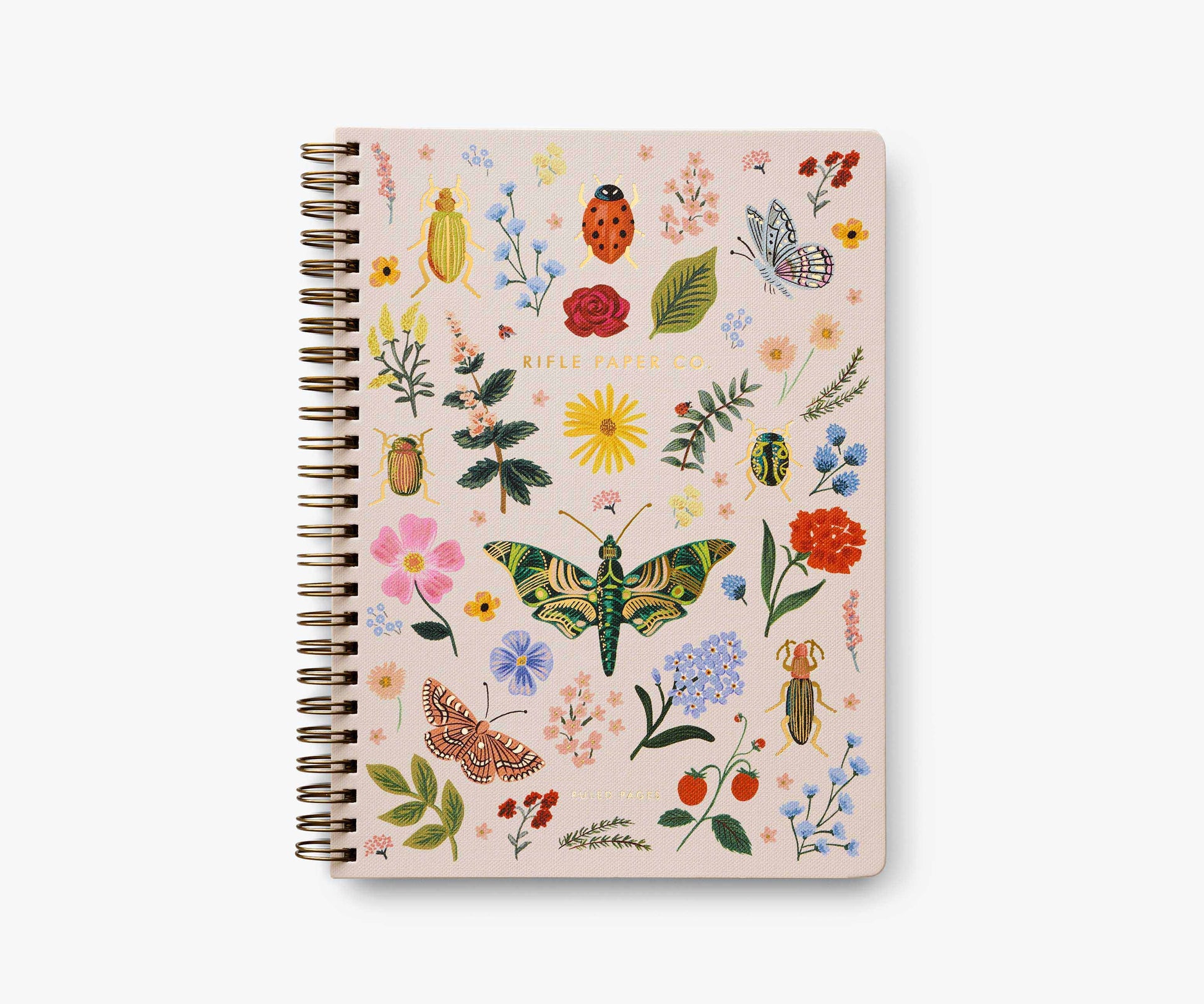 Spiral Notebook - Curio - Lined Notebook Journal