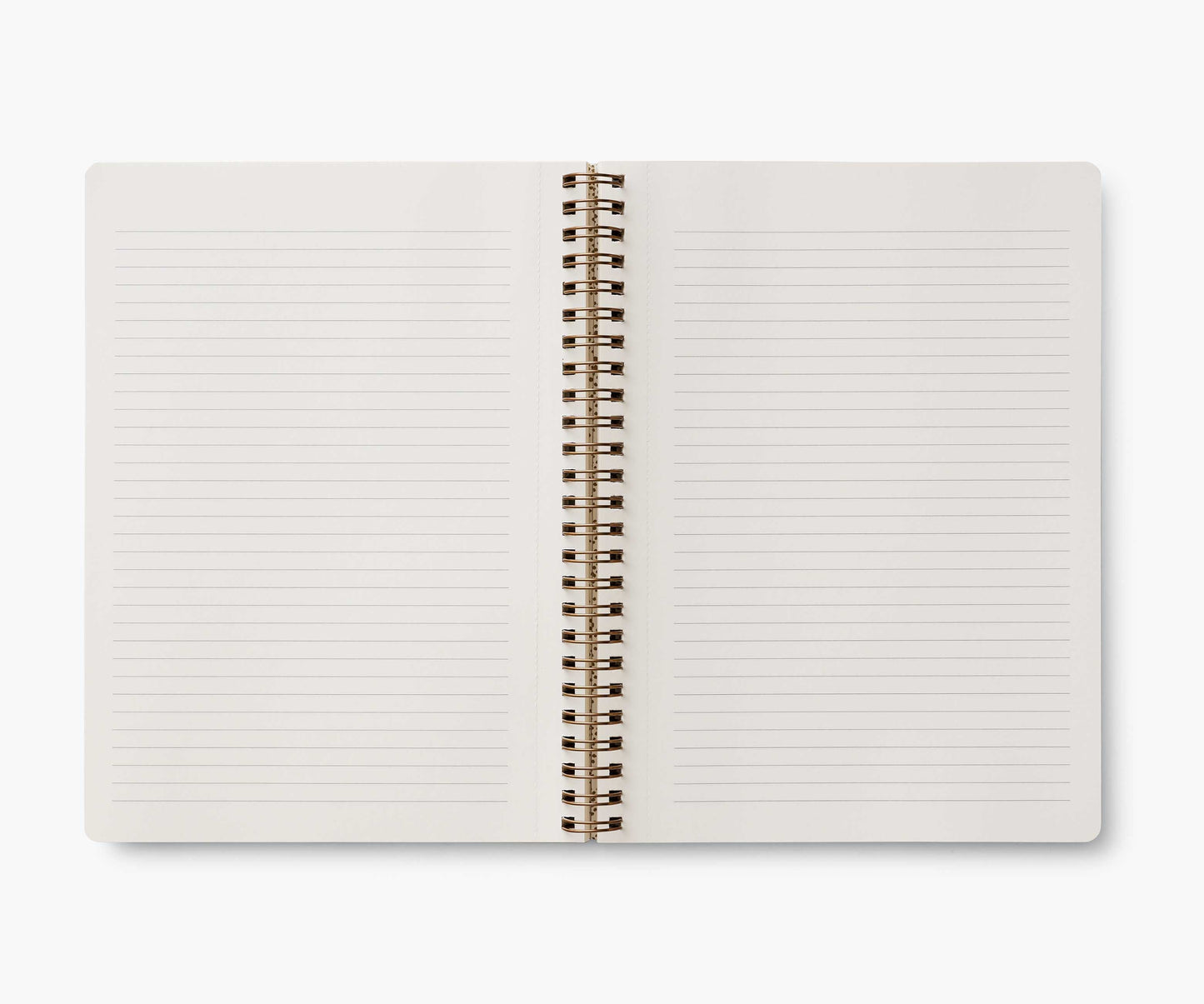 Spiral Notebook - Curio