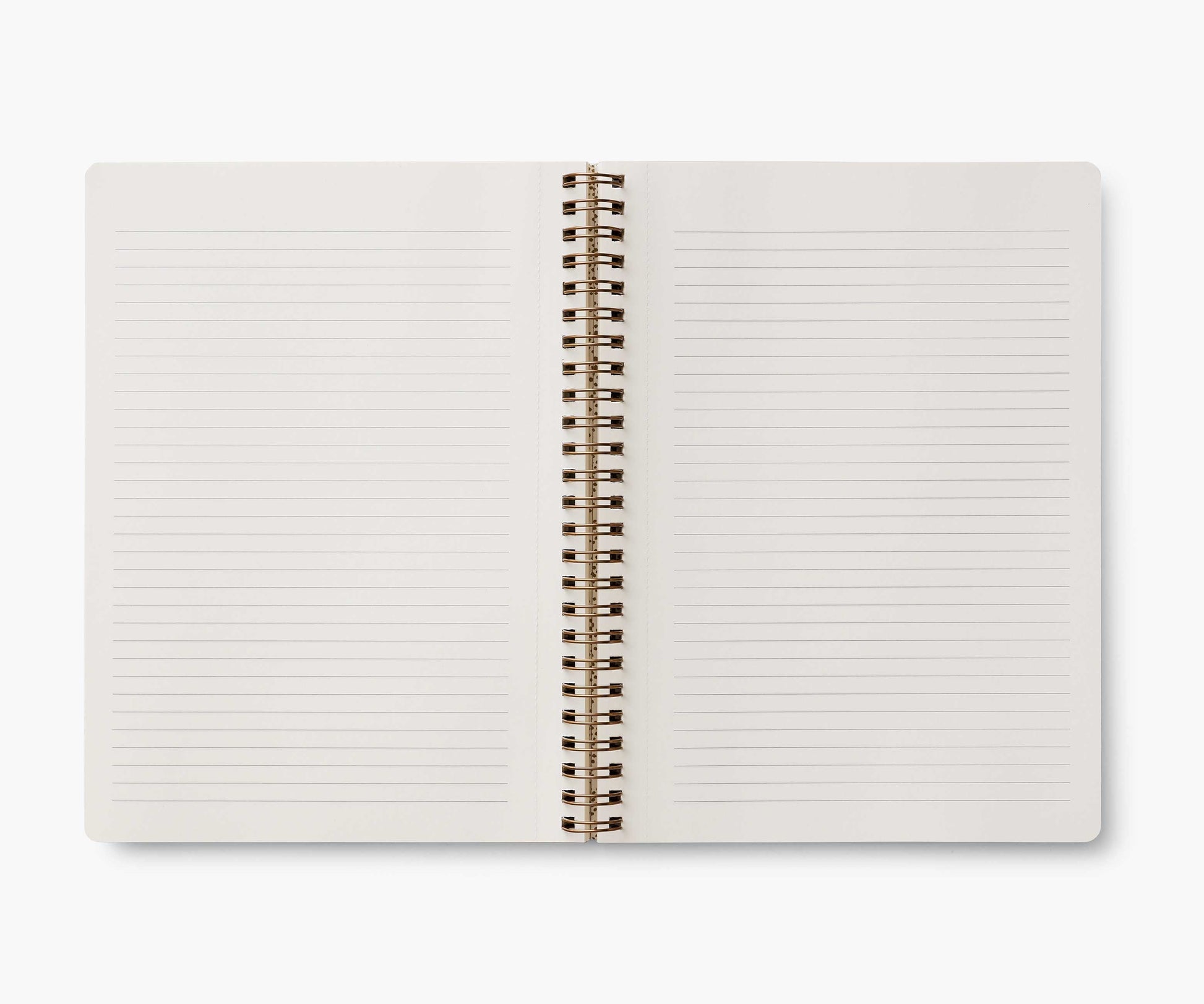 Spiral Notebook - Curio
