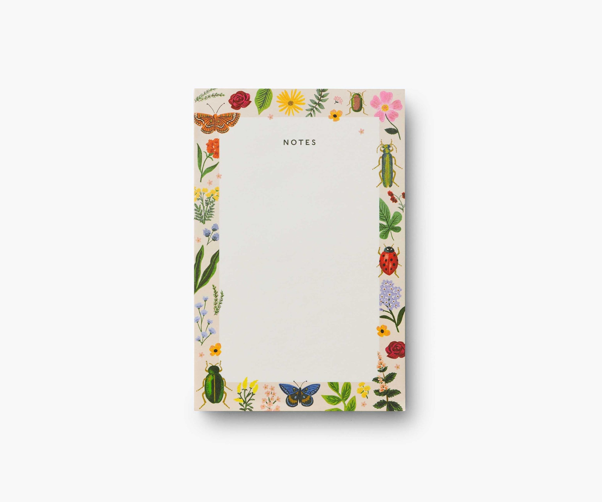 Blank Notepad - Curio - Tear-Off Notepad