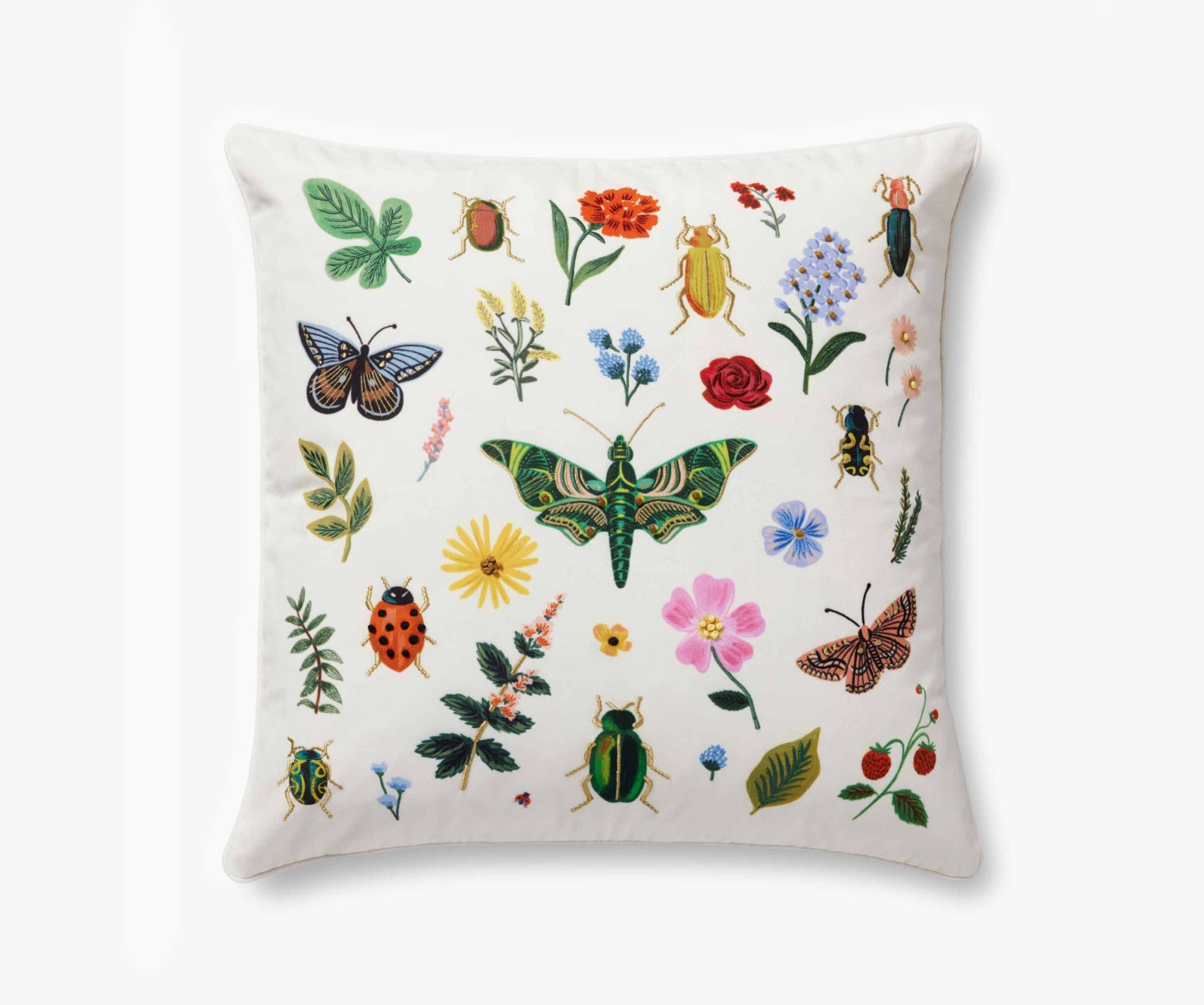 Curio Embroidered Pillow - White - Embroidered Throw Pillow