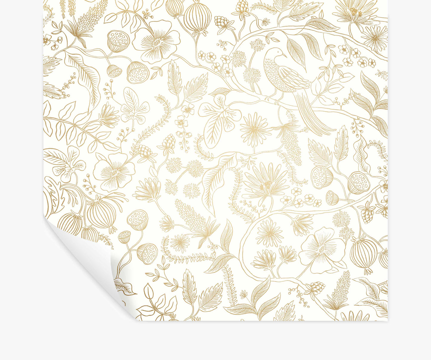 Aviary Peel & Stick Wallpaper - Metallic Gold & Cream - Peel and Stick Wallpaper
