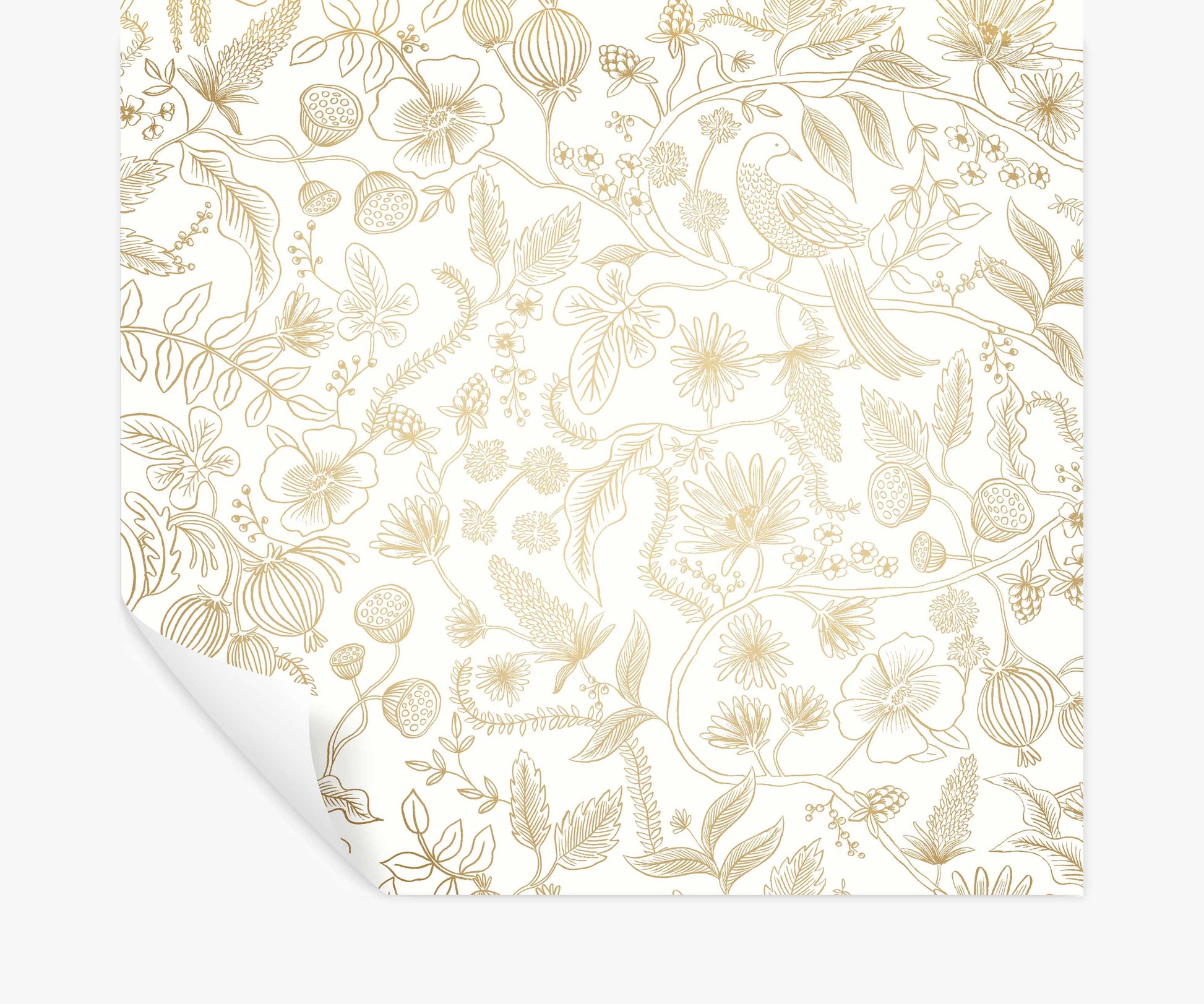 Aviary Peel & Stick Wallpaper - Metallic Gold & Cream - Peel and Stick Wallpaper