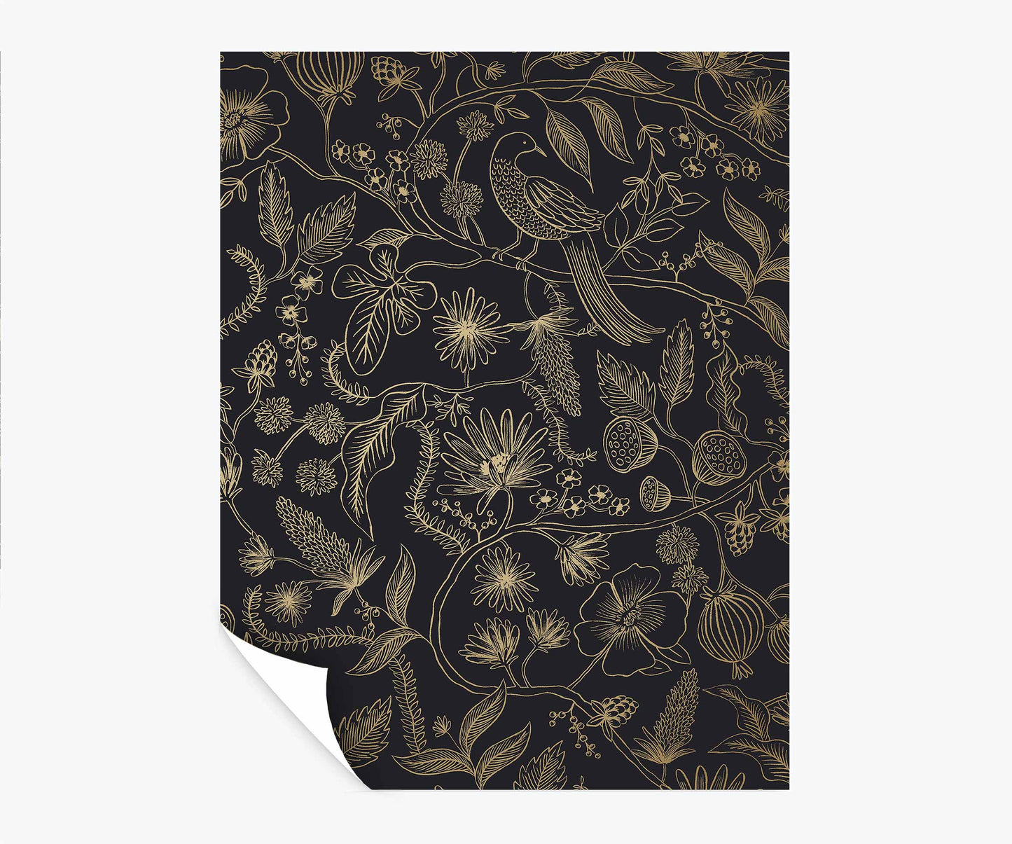 Aviary Peel & Stick Wallpaper Sample - Metallic Gold & Black - Peel and Stick Wallpaper