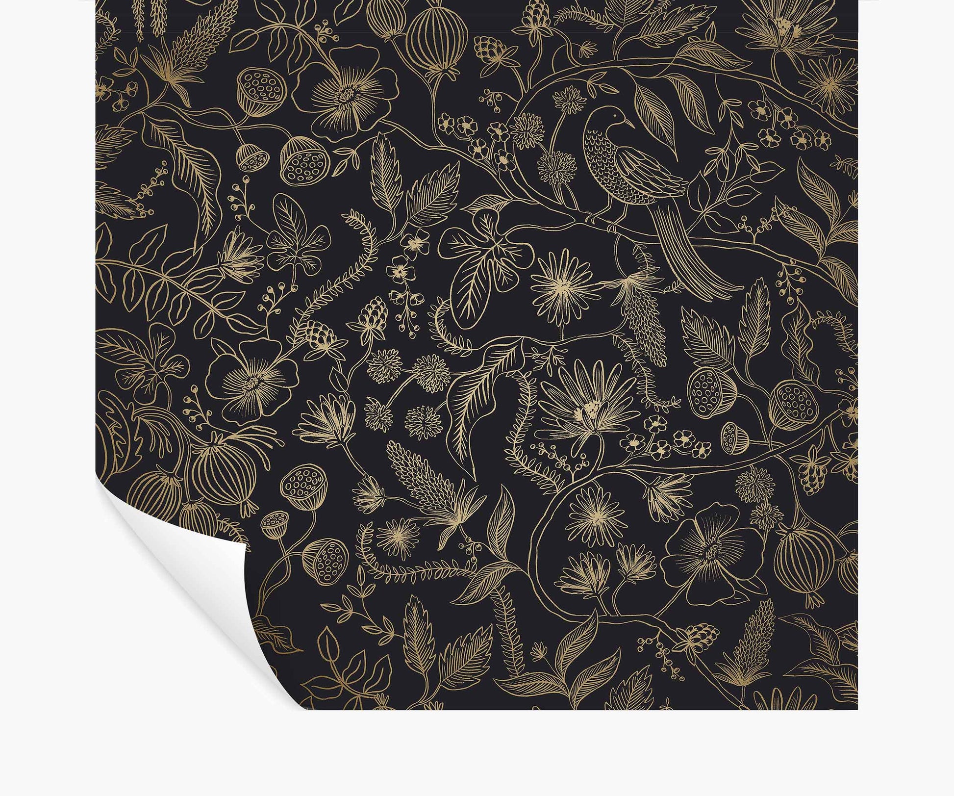 Aviary Peel & Stick Wallpaper - Metallic Gold & Black - Peel and Stick Wallpaper