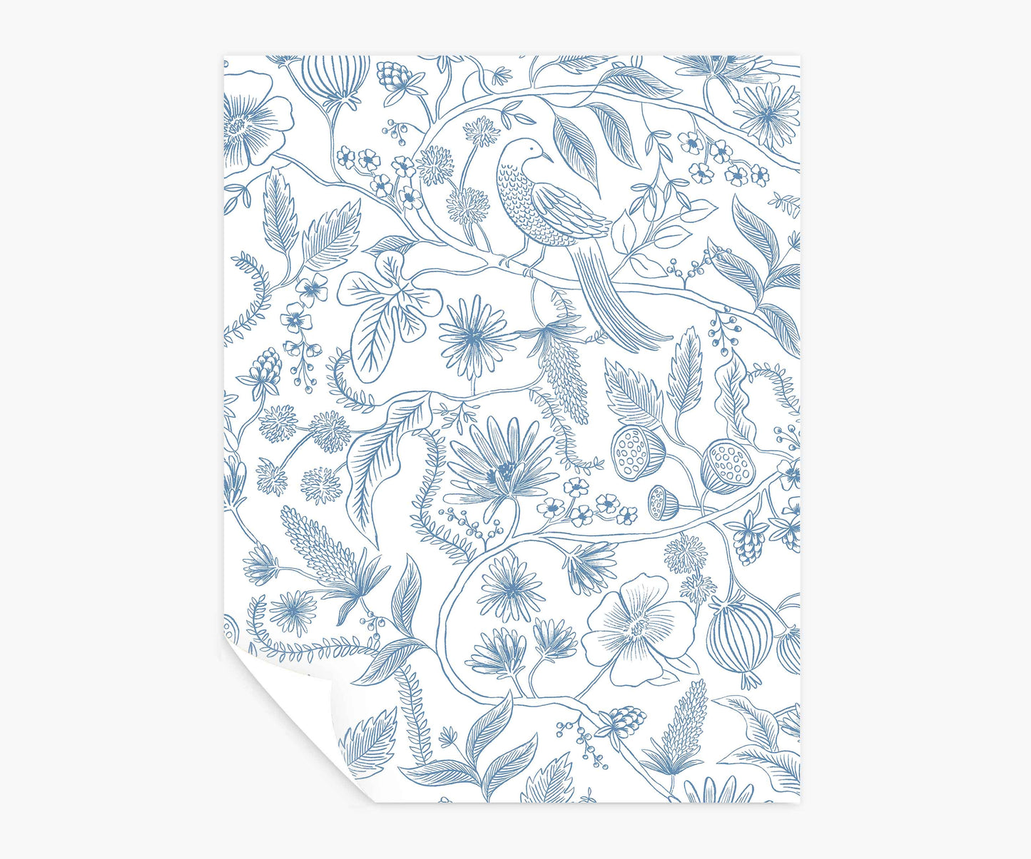 Aviary Peel & Stick Wallpaper Sample - Blue & Cream - Peel and Stick Wallpaper