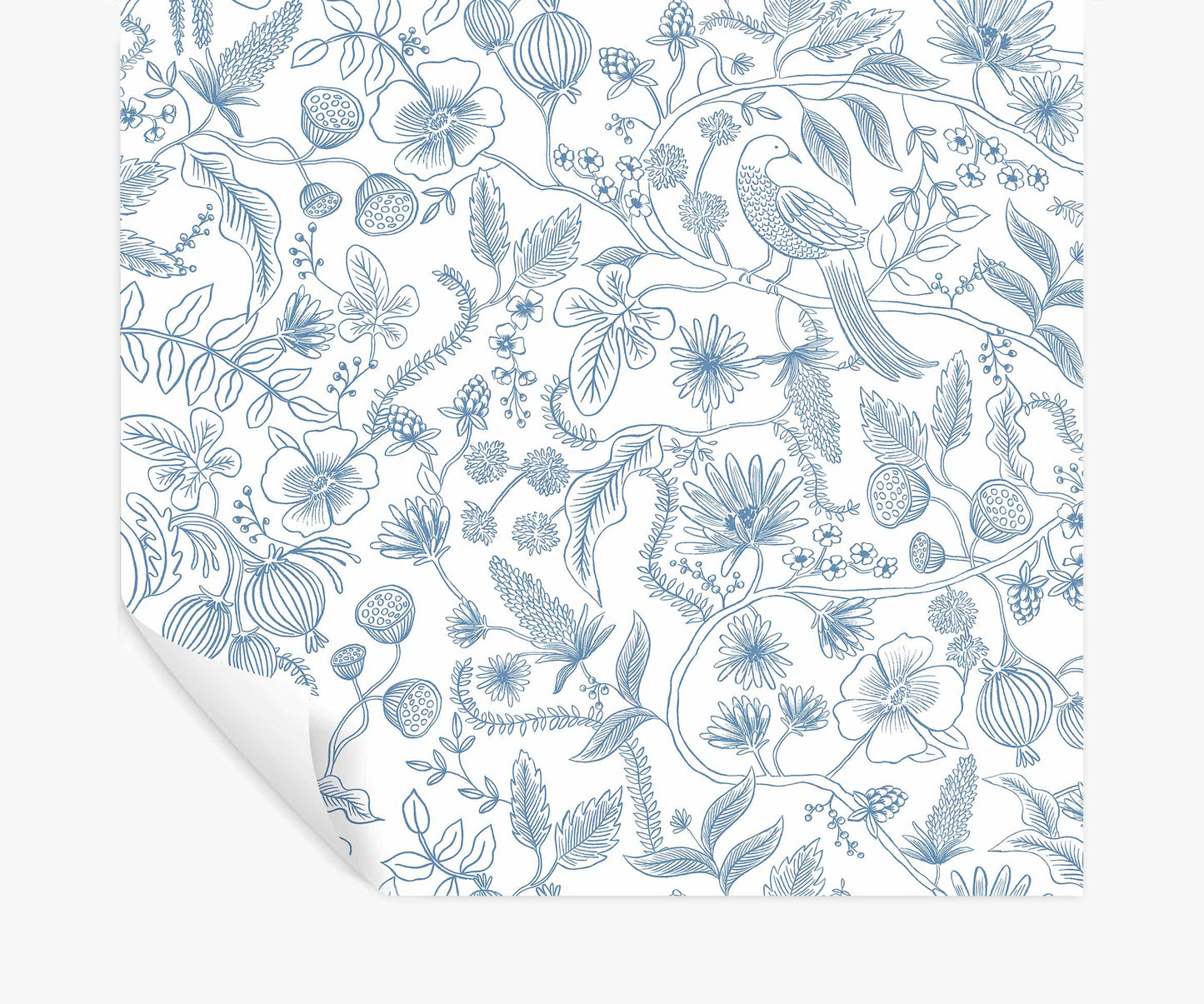 Aviary Peel & Stick Wallpaper - Blue & Cream - Peel and Stick Wallpaper