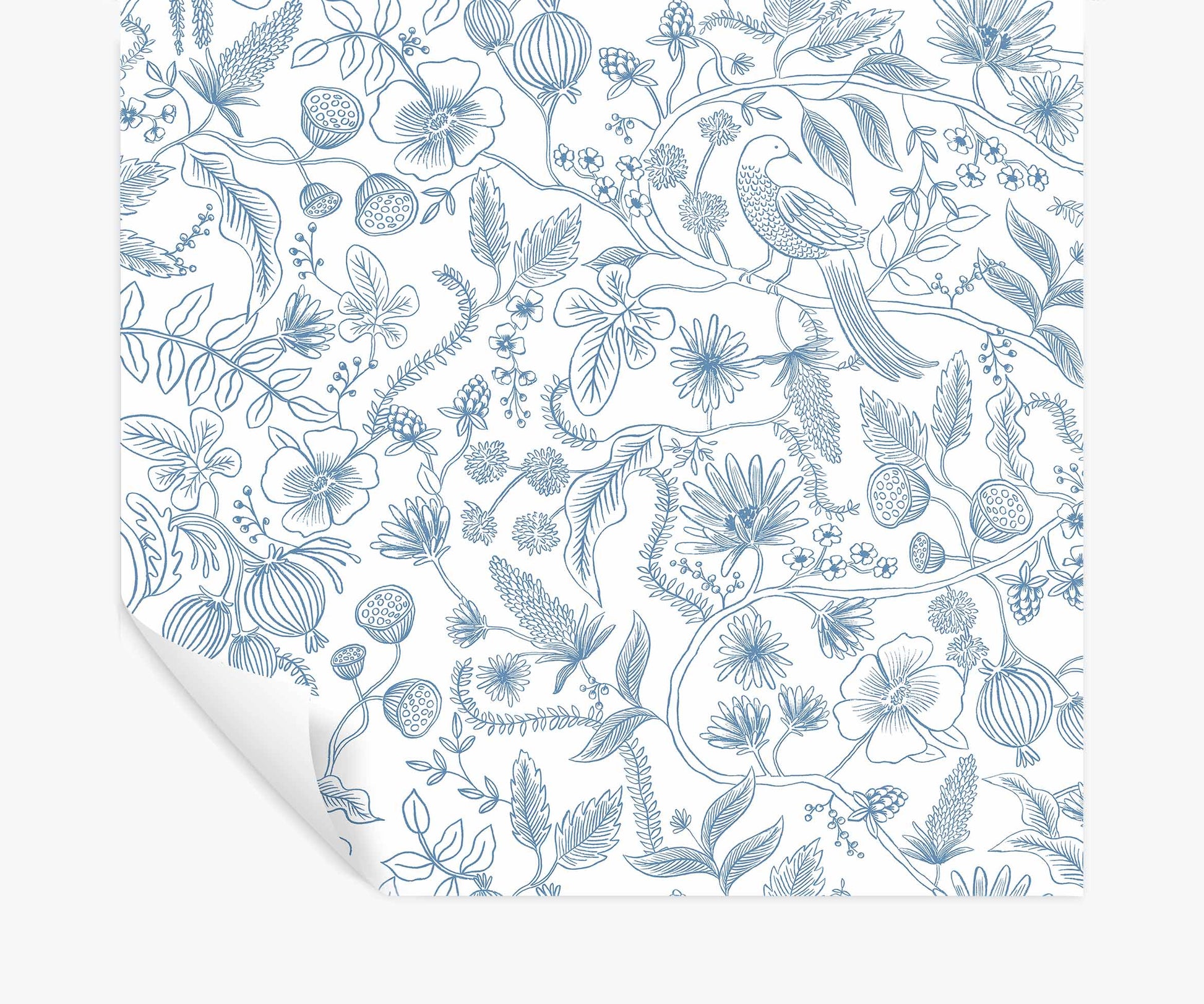 Aviary Peel & Stick Wallpaper - Blue & Cream - Peel and Stick Wallpaper
