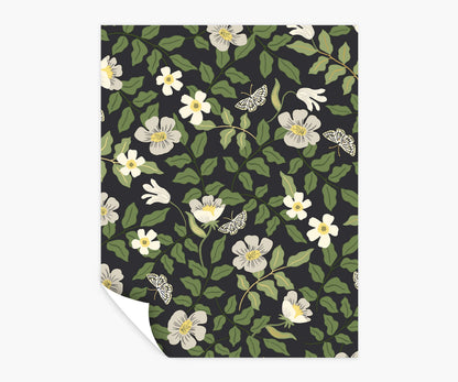 Primrose Peel & Stick Wallpaper Sample - Linen & Black - Peel and Stick Wallpaper