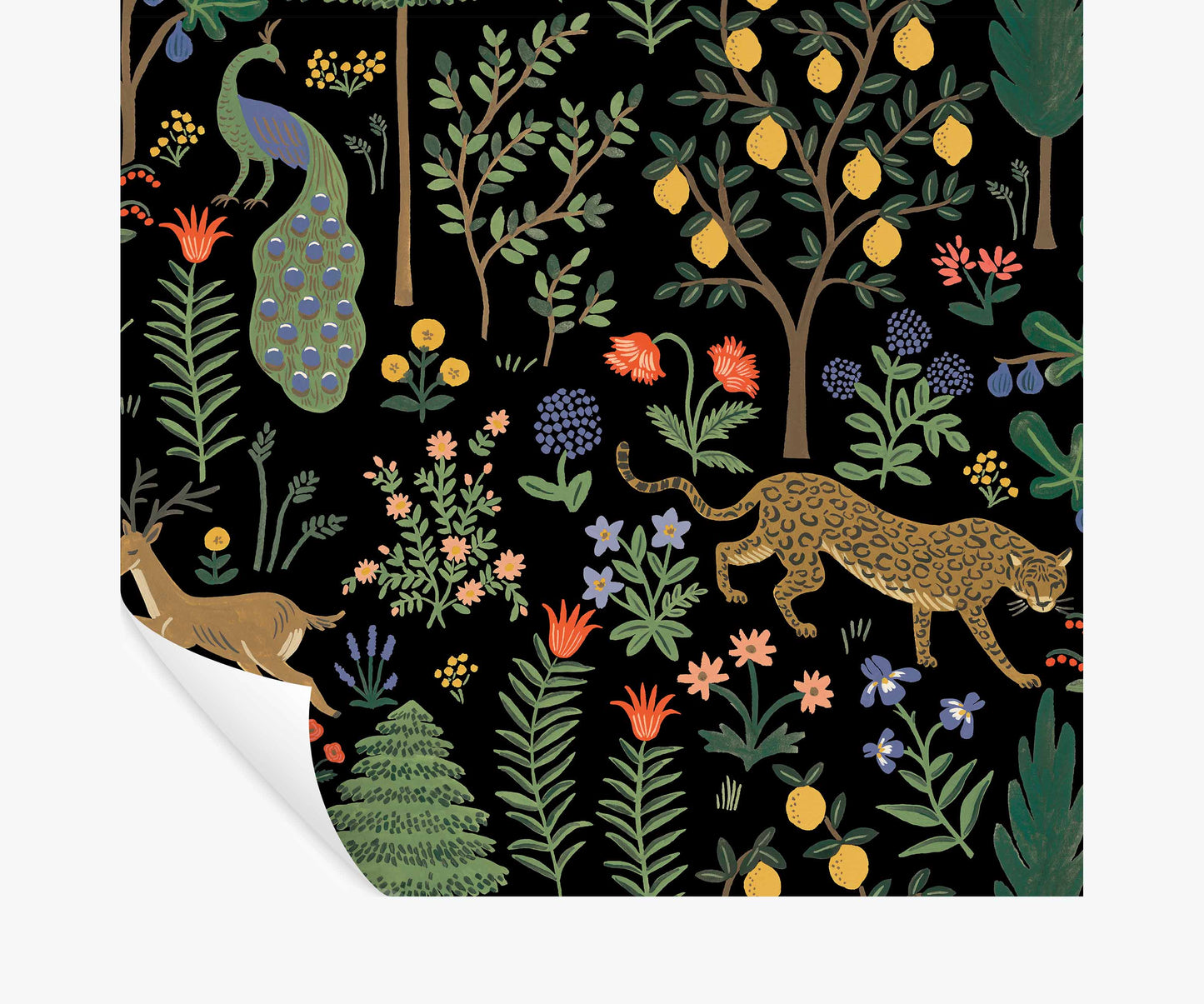 Menagerie Peel & Stick Wallpaper - Black - Peel and Stick Wallpaper