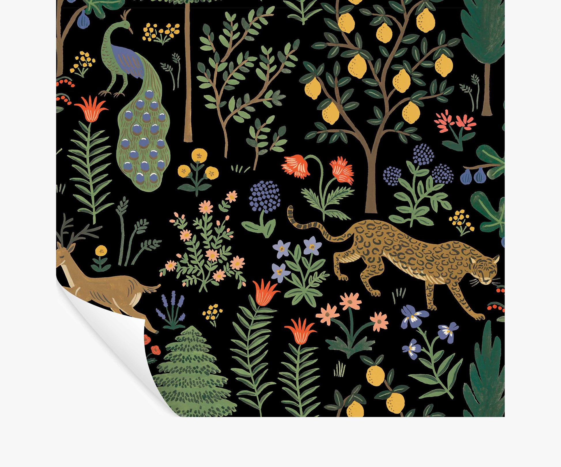 Menagerie Peel & Stick Wallpaper - Black - Peel and Stick Wallpaper
