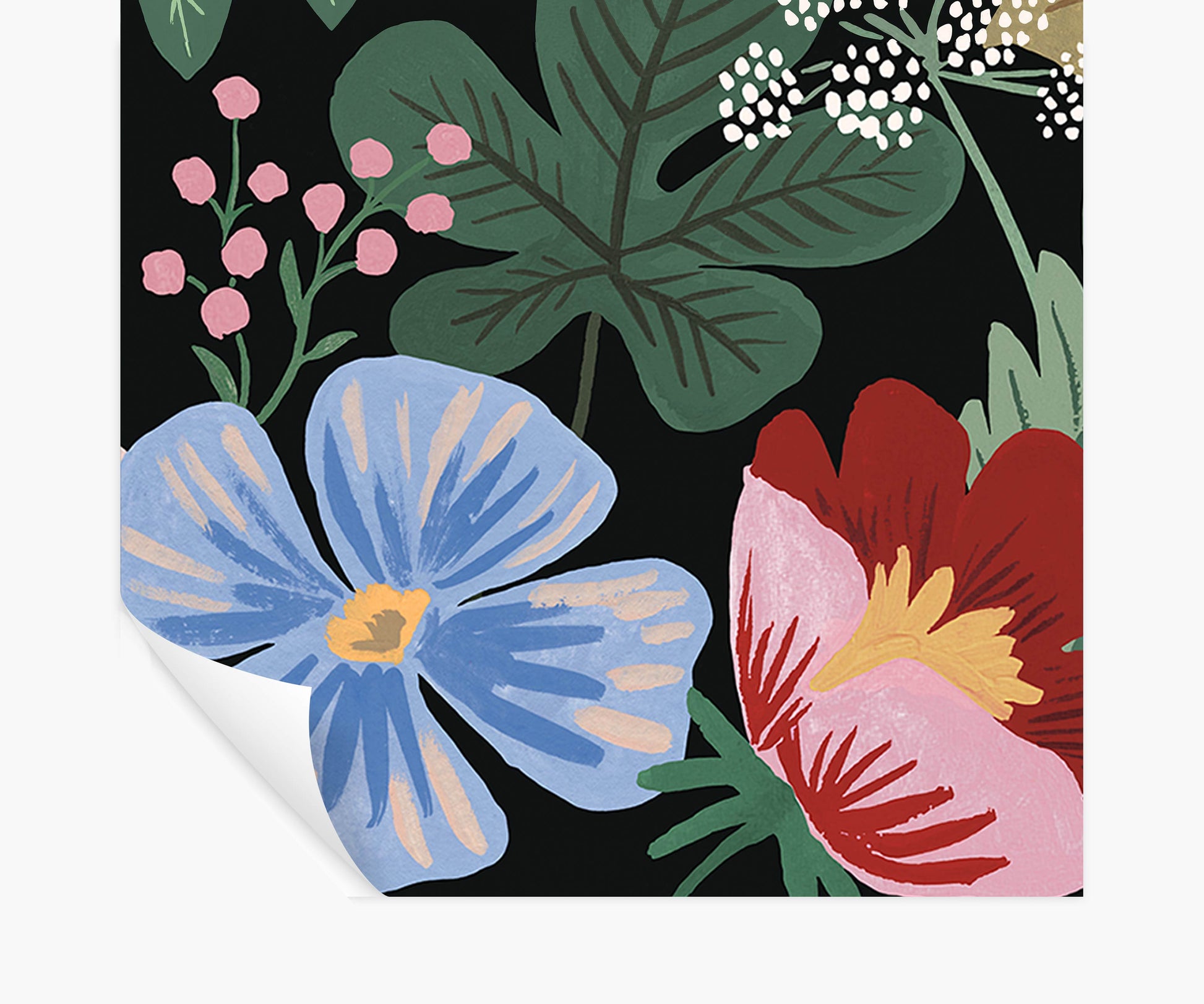 Strawberry Fields Peel & Stick Mural - Black - Peel and Stick Wall Mural