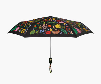 Umbrella - Curio - Premium Design Accessory
