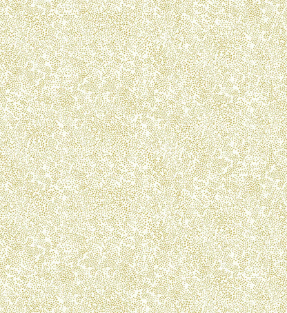 Champagne Dots Wallpaper - Metallic Gold & White