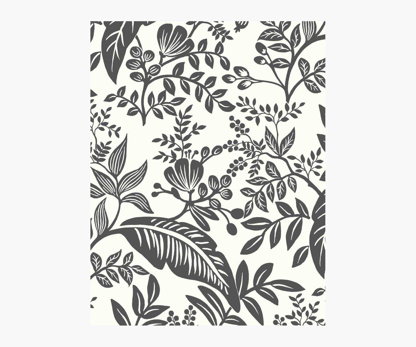 Canopy Wallpaper Sample - Black & White - Peel and Stick Wallpaper