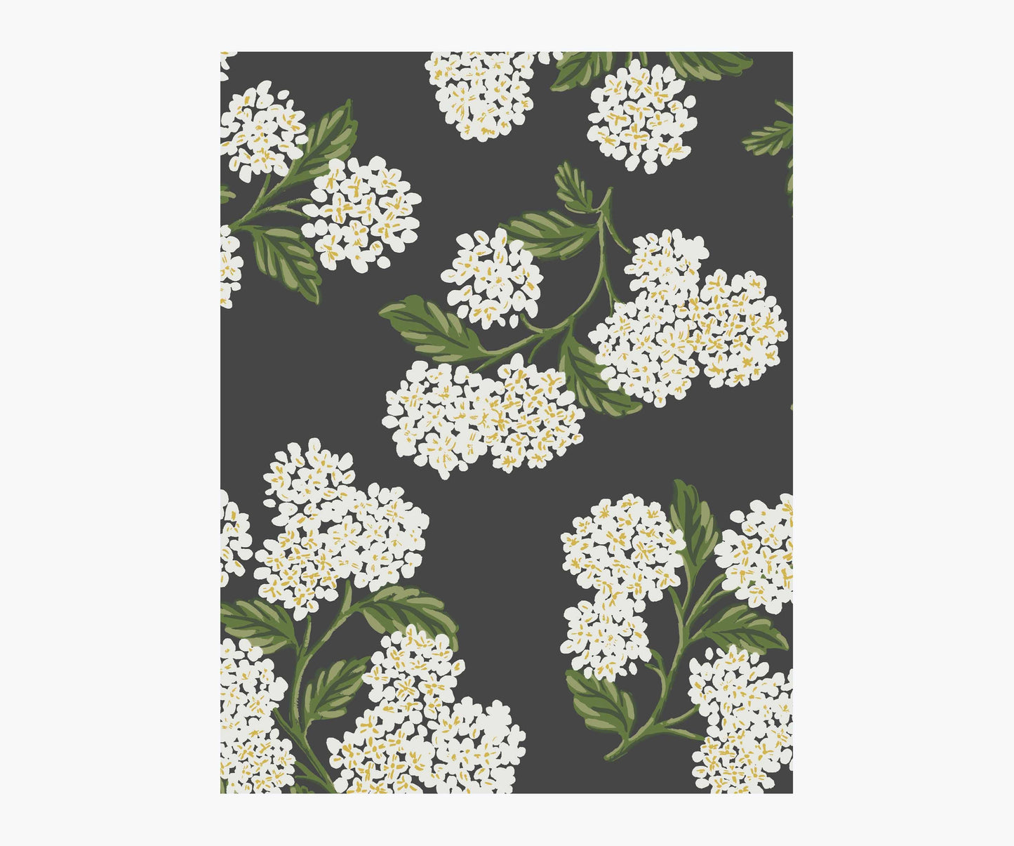 Hydrangea Wallpaper Sample - Black & White - Peel and Stick Wallpaper