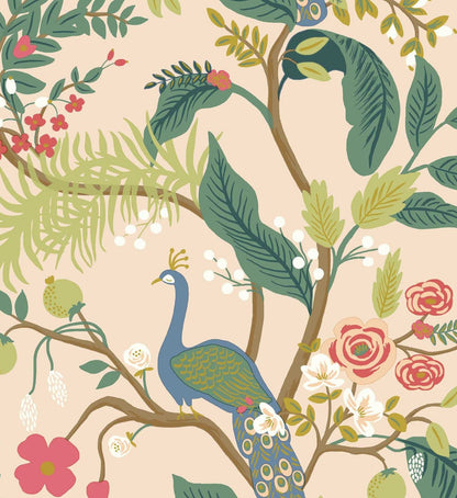 Peacock Wallpaper - Blush