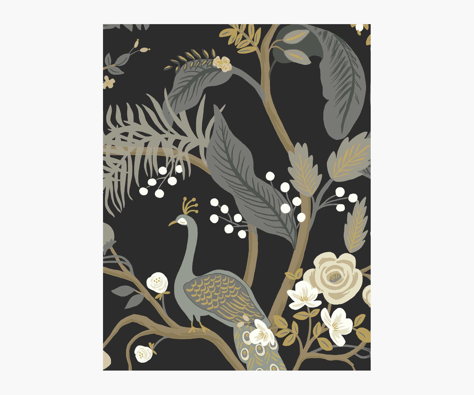 Peacock Wallpaper Sample - Black - Peel and Stick Wallpaper