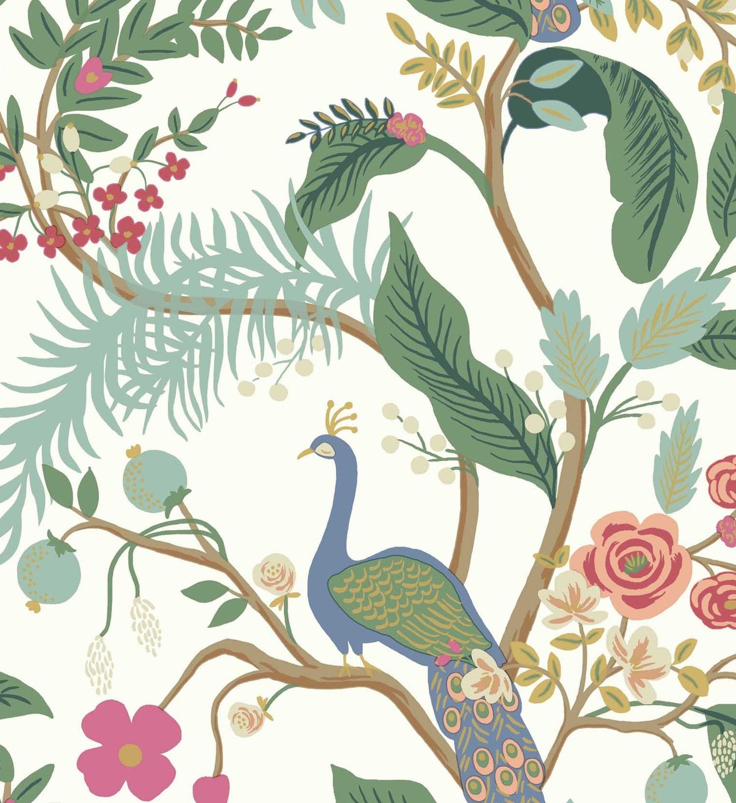 Peacock Wallpaper - Rouge
