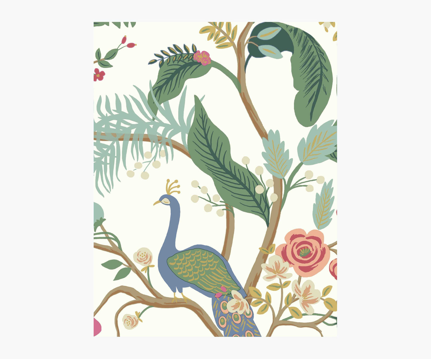 Peacock Wallpaper Sample - Rouge - Peel and Stick Wallpaper