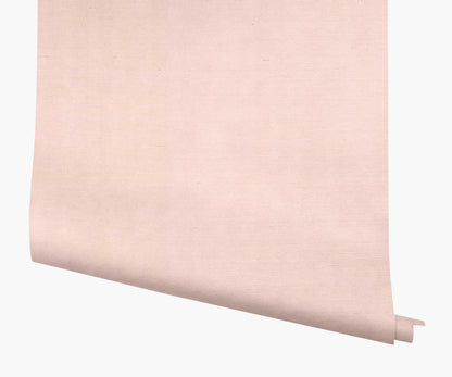 Palette Wallpaper - Blush - Peel and Stick Wallpaper