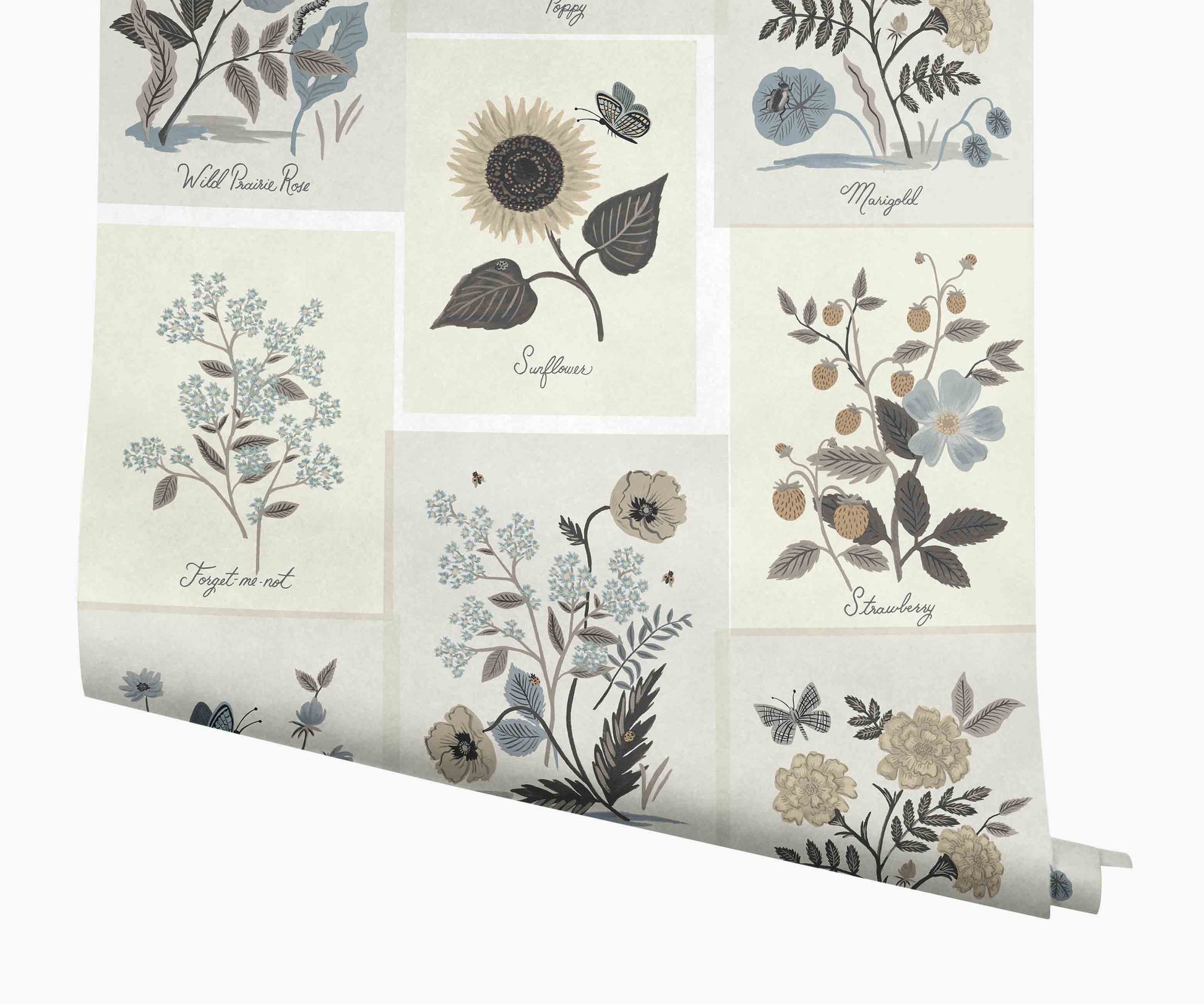 Botanical Prints Wallpaper - Linen - Peel and Stick Wallpaper