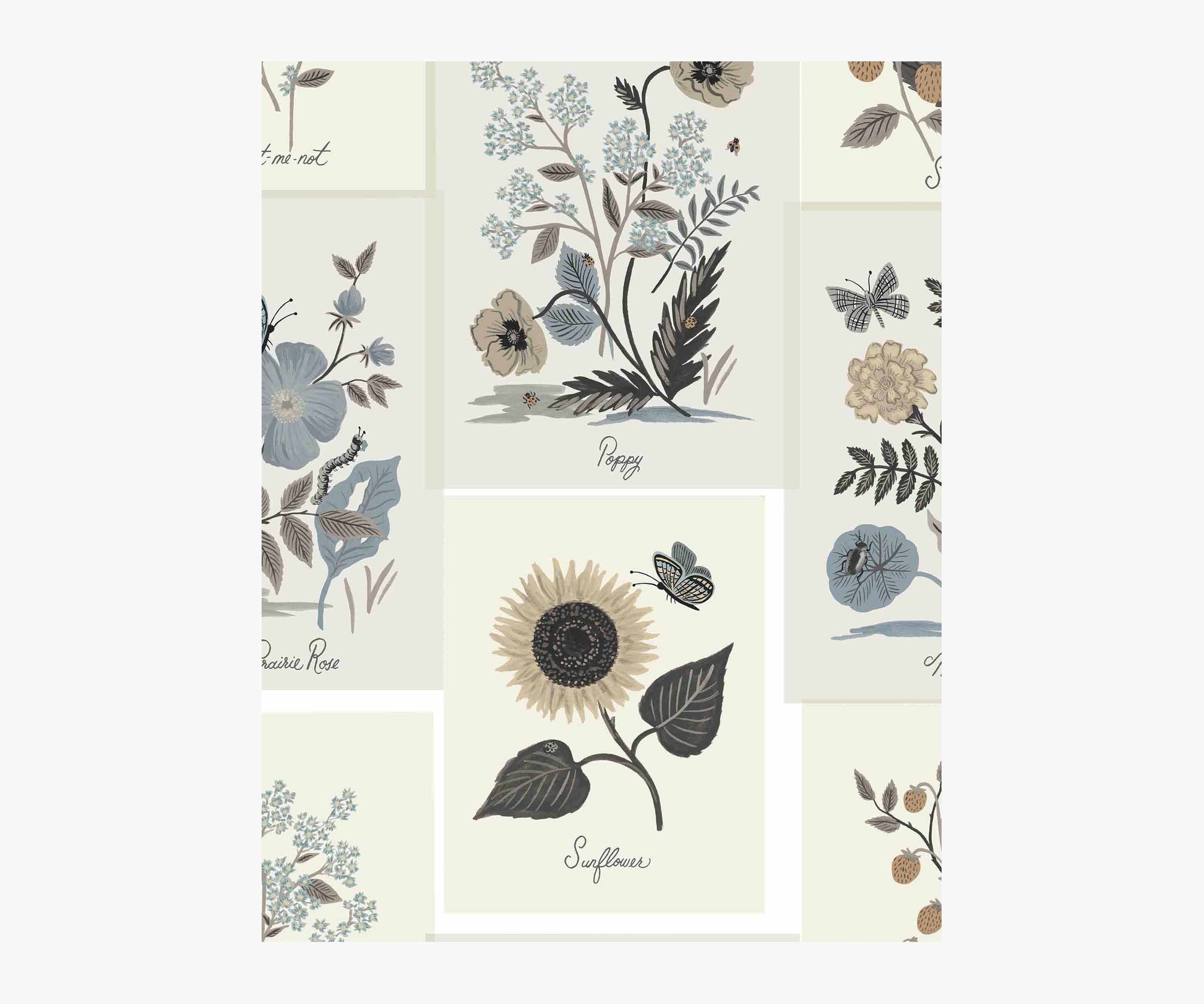 Botanical Prints Wallpaper Sample - Linen - Peel and Stick Wallpaper