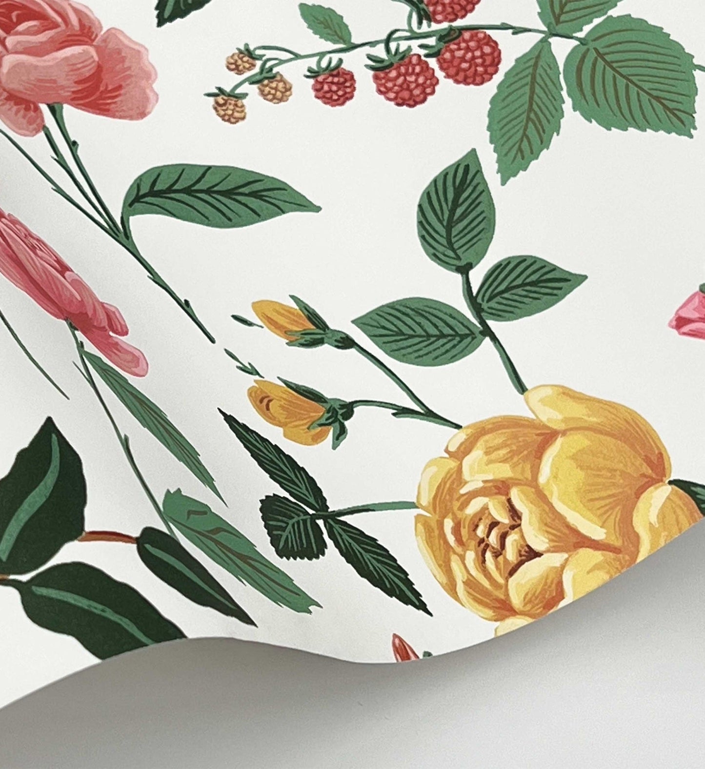 Roses Wallpaper - White & Blush