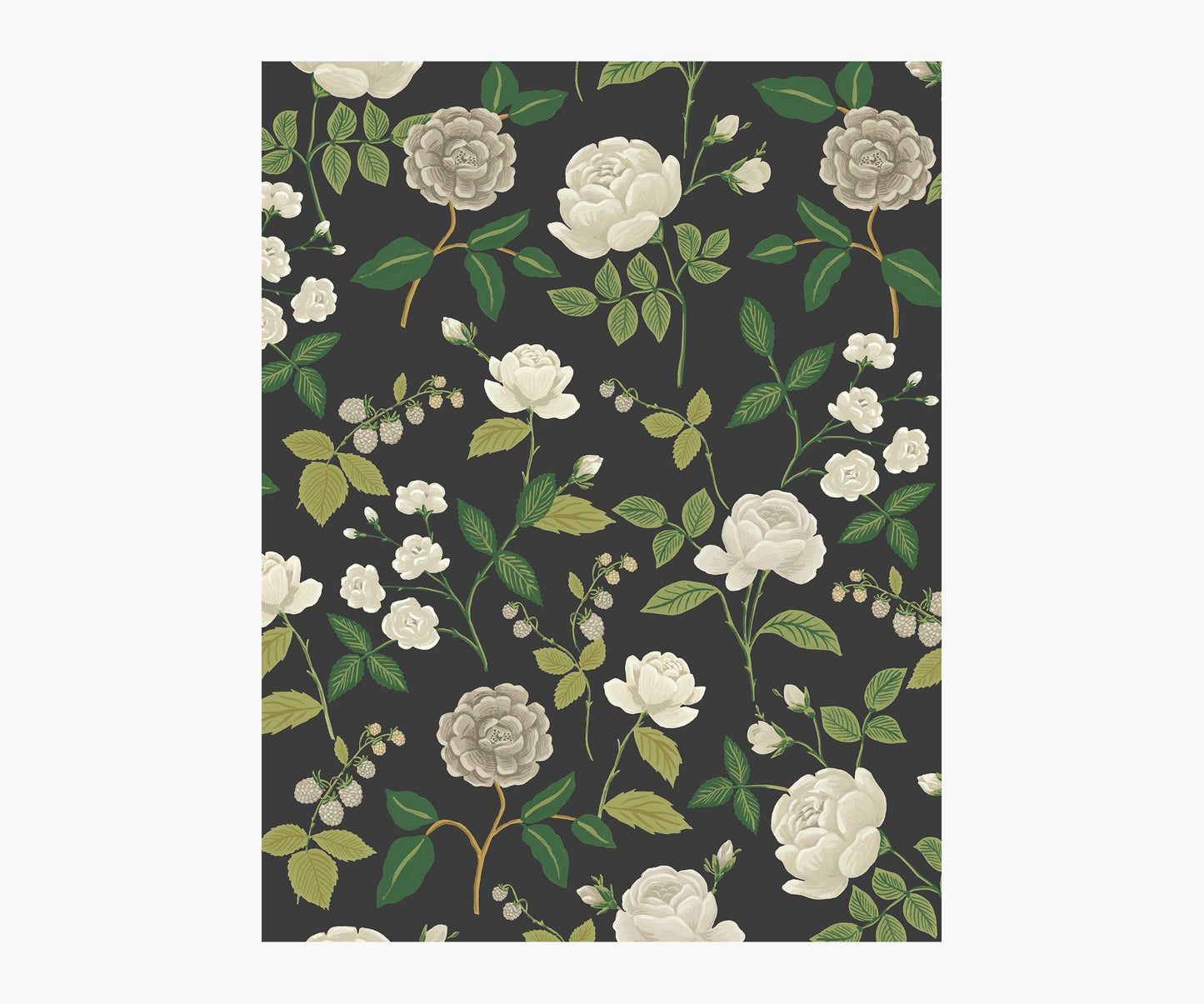 Roses Wallpaper Sample - Black - Peel and Stick Wallpaper