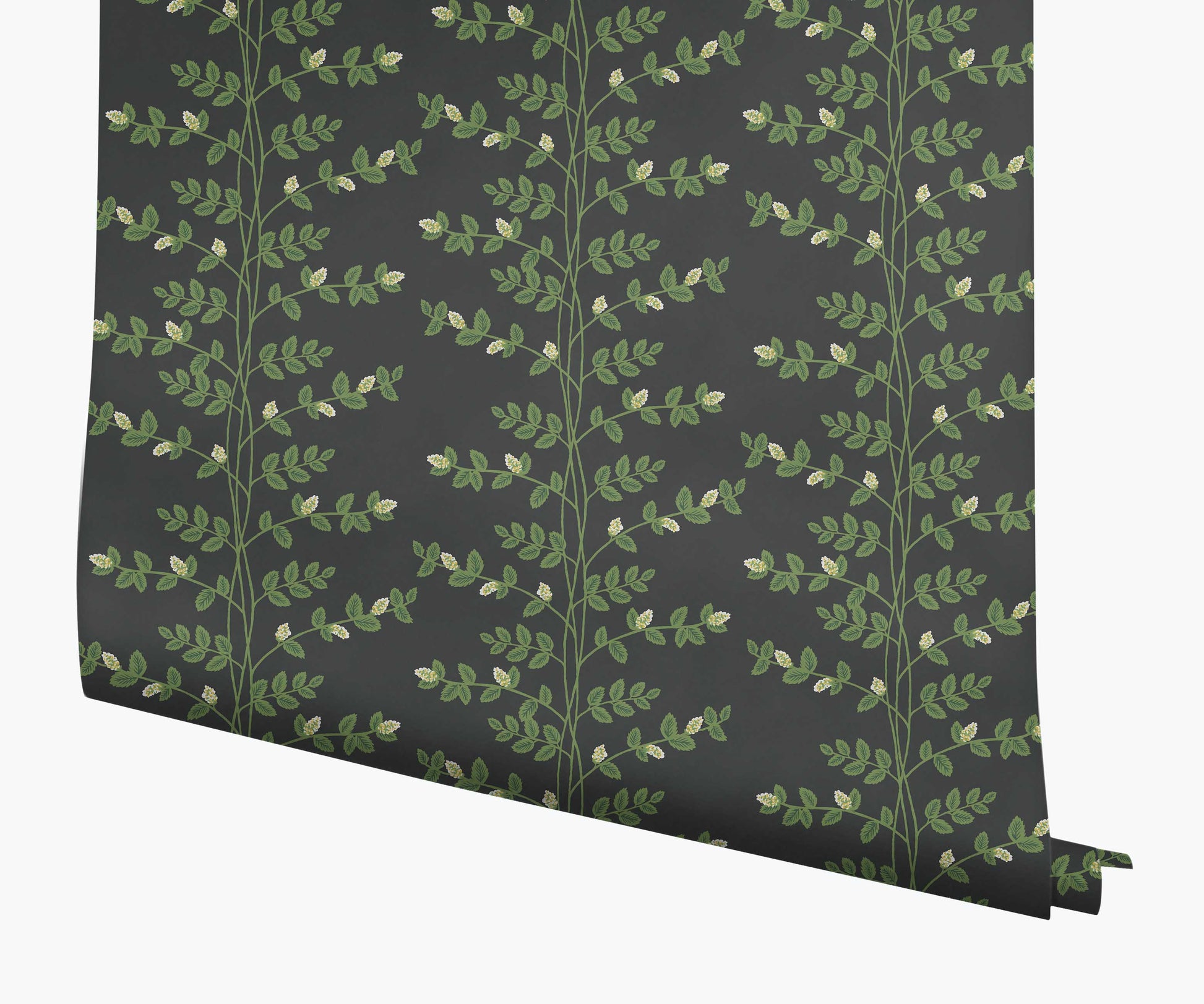 Climbing Vines Wallpaper - Black - Peel and Stick Wallpaper