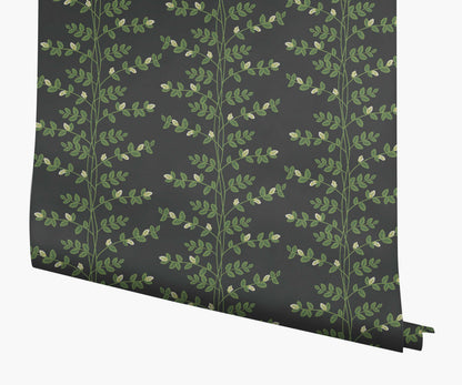 Climbing Vines Wallpaper - Black - Peel and Stick Wallpaper