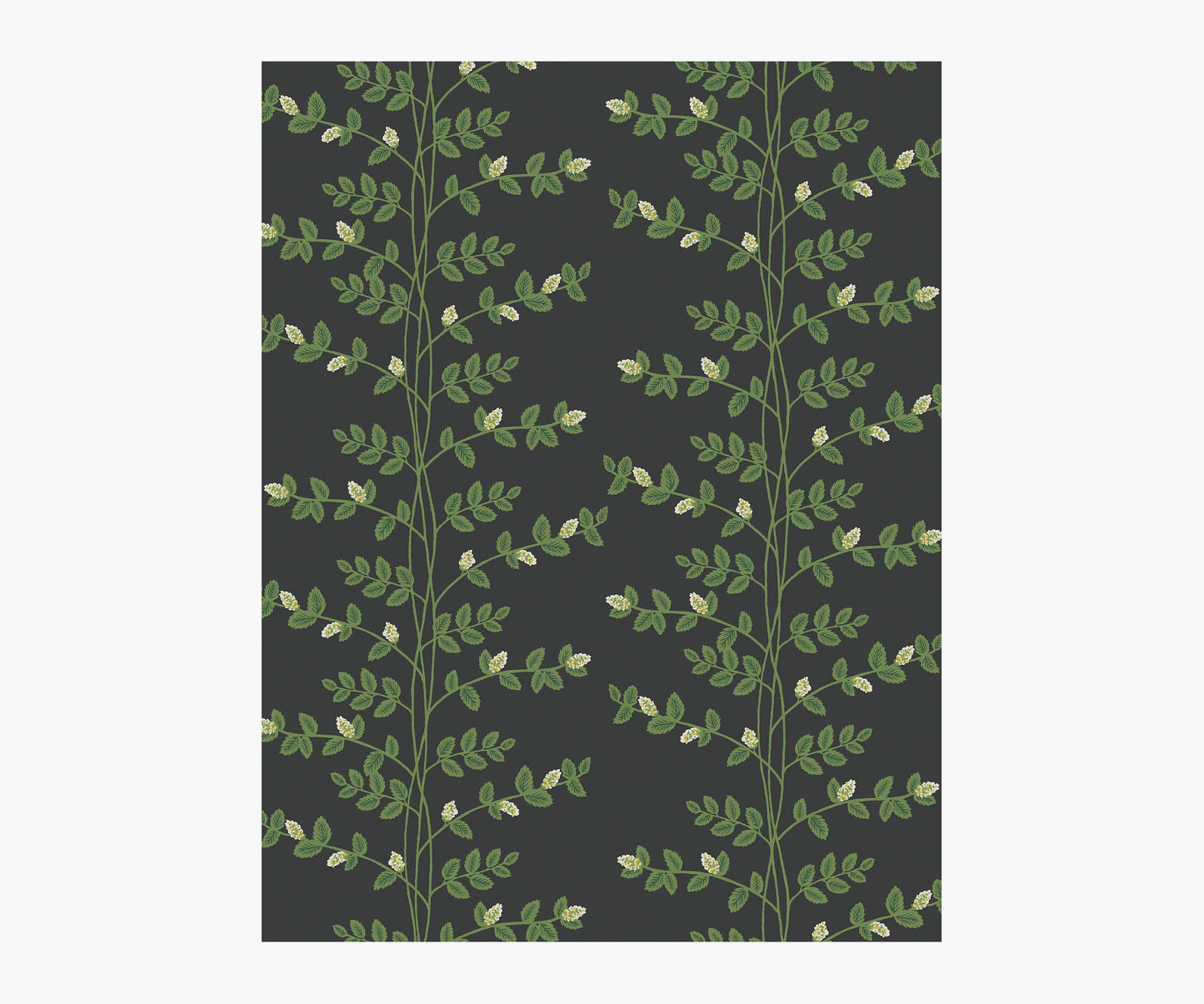 Climbing Vines Wallpaper Sample - Black - Peel and Stick Wallpaper