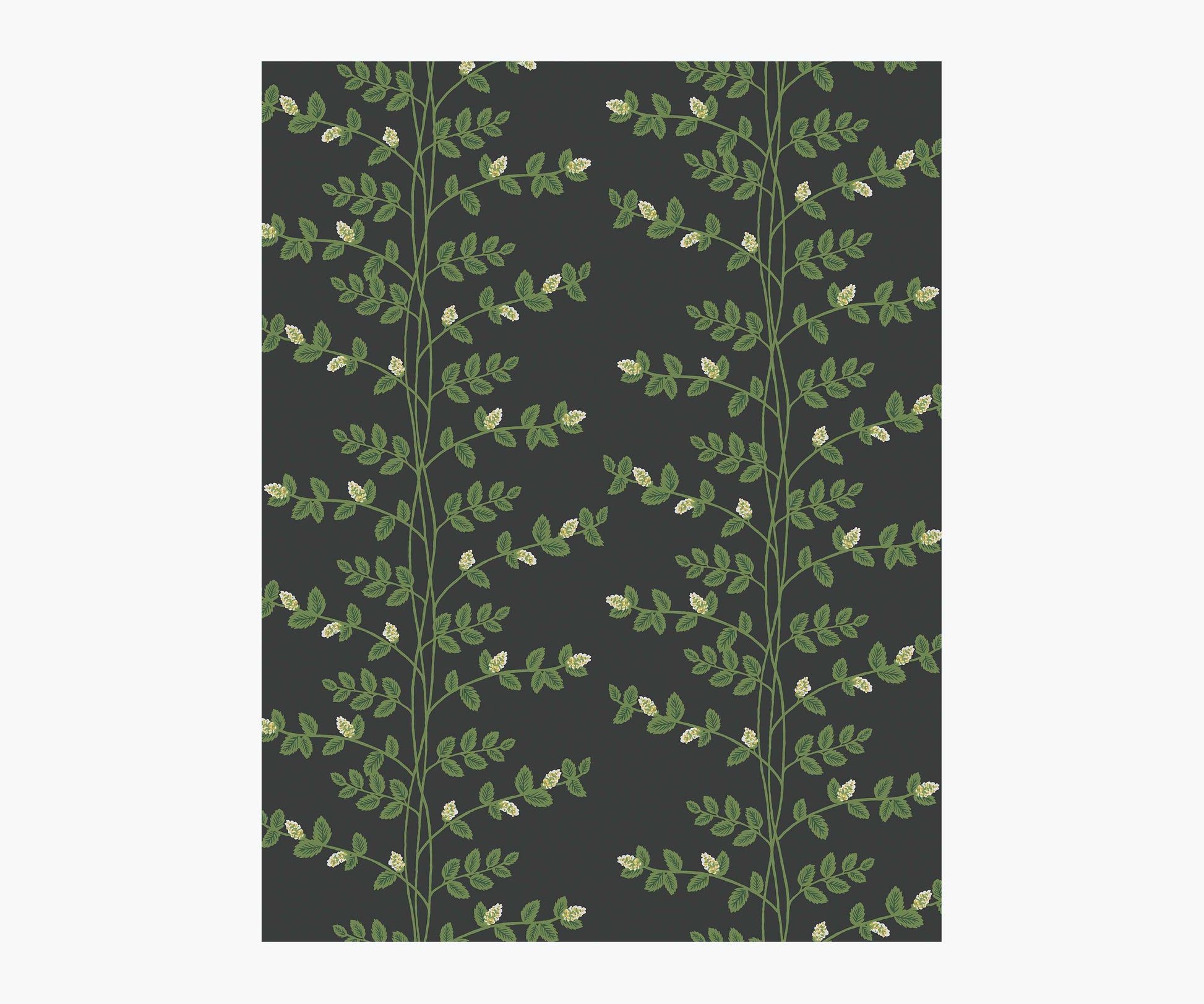 Climbing Vines Wallpaper Sample - Black - Peel and Stick Wallpaper