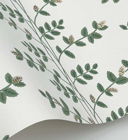 Climbing Vines Wallpaper - White & Metallic Gold