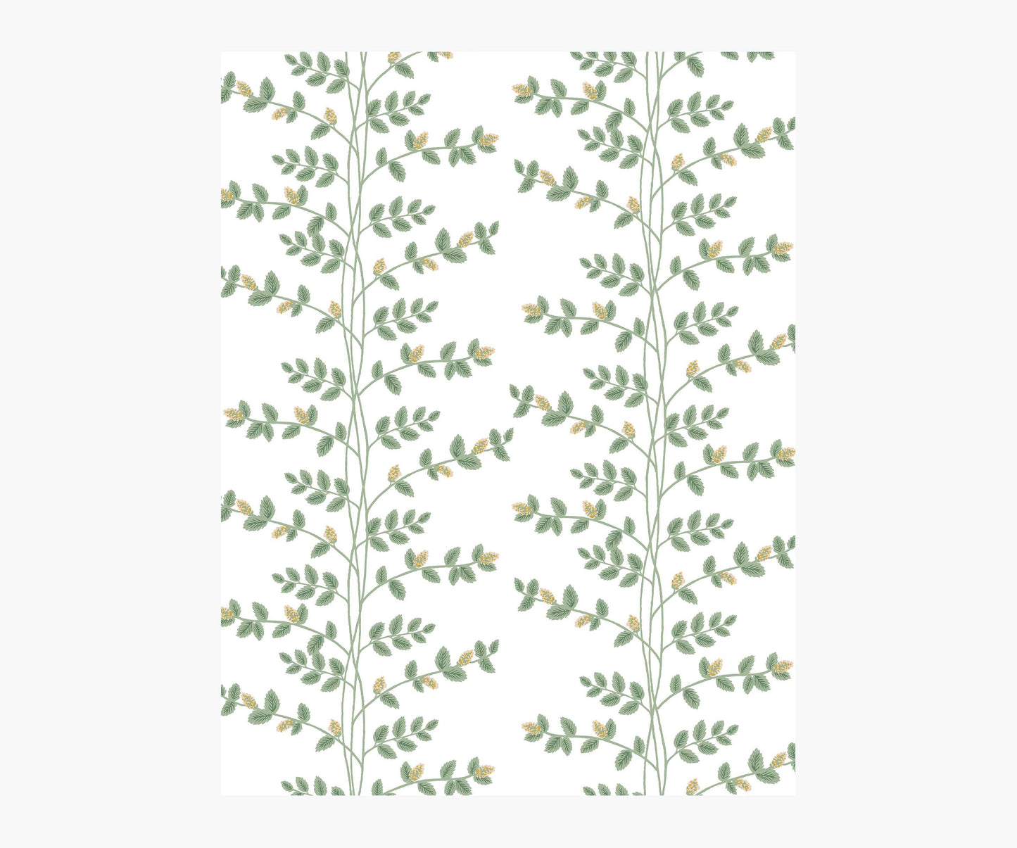 Climbing Vines Wallpaper Sample - White & Metallic Gold - Peel and Stick Wallpaper