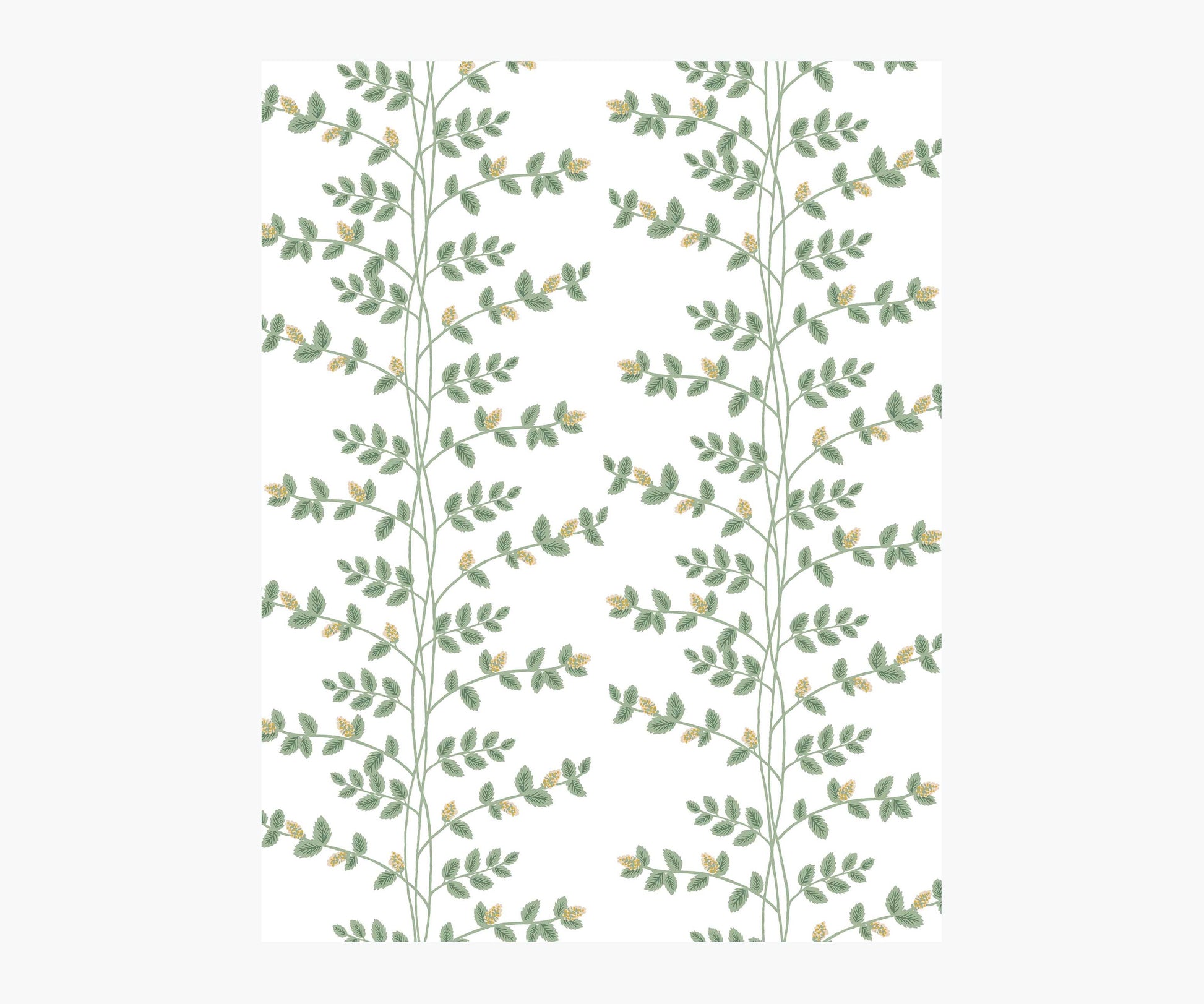 Climbing Vines Wallpaper Sample - White & Metallic Gold - Peel and Stick Wallpaper
