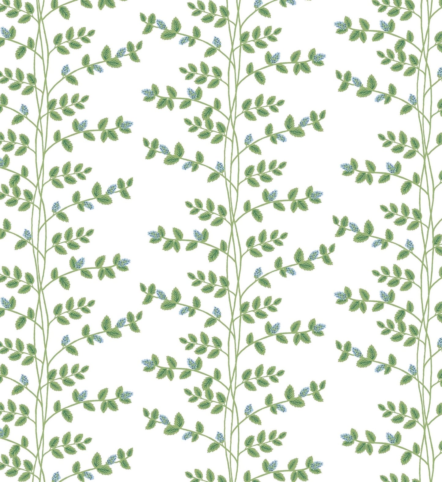 Climbing Vines Wallpaper - White & Blue