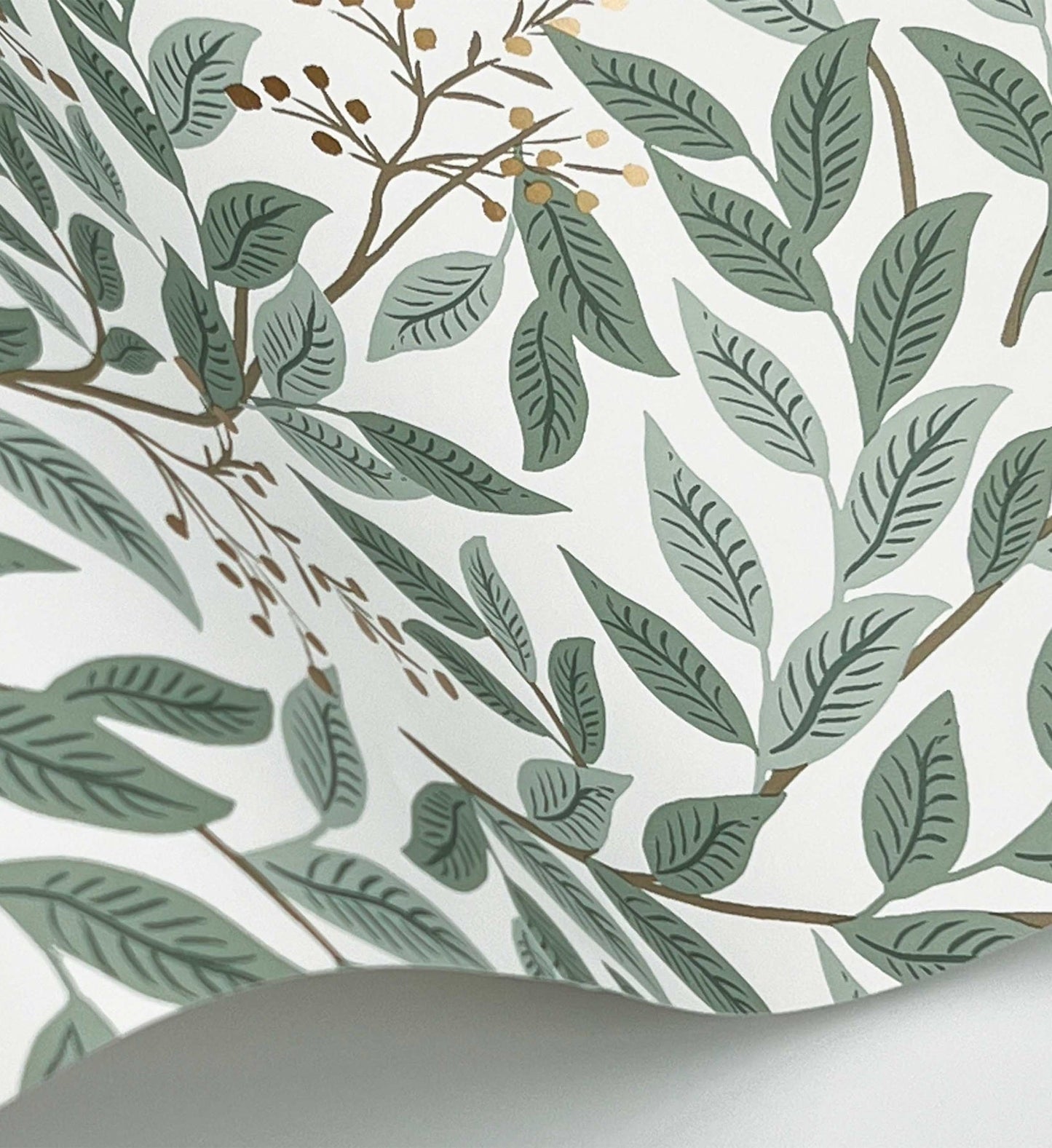 Willowberry Wallpaper - Sage & White