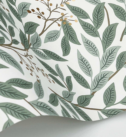 Willowberry Wallpaper - Sage & White