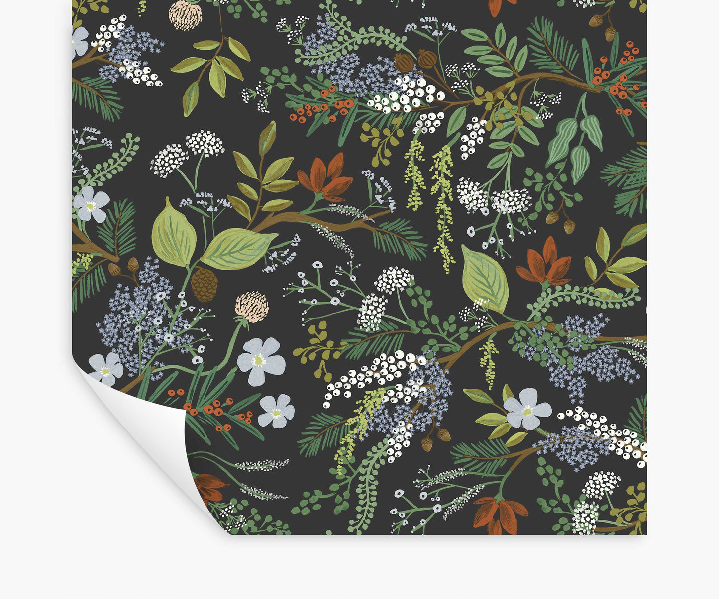 Juniper Forest Peel & Stick Wallpaper - Black - Peel and Stick Wallpaper