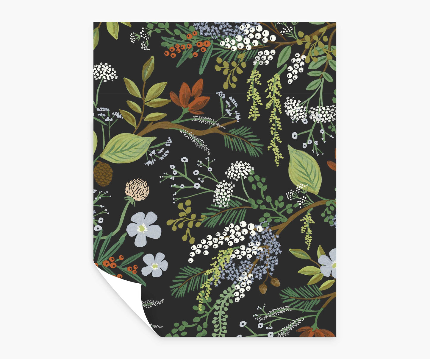 Juniper Forest Peel & Stick Wallpaper Sample - Black - Peel and Stick Wallpaper