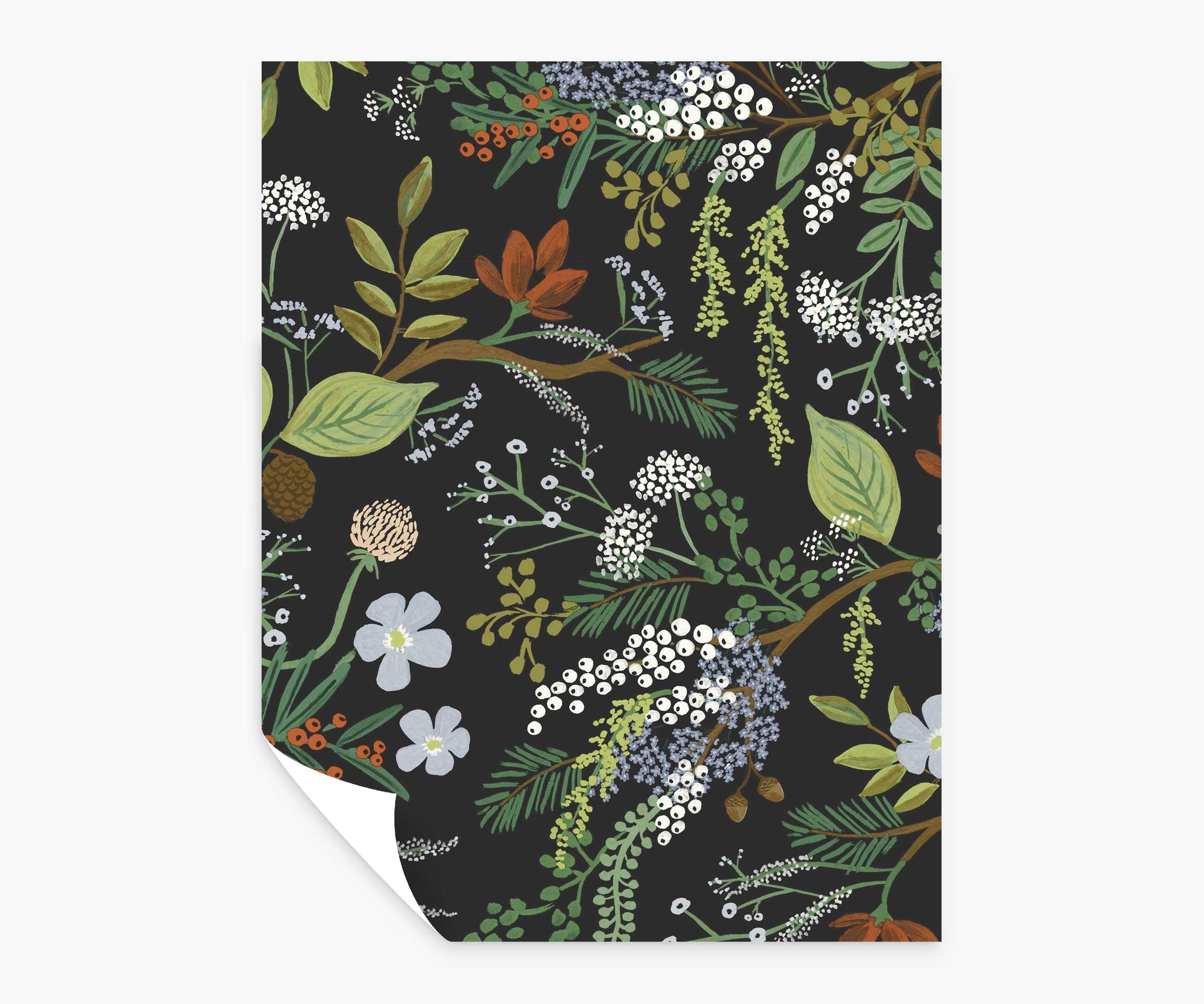 Juniper Forest Peel & Stick Wallpaper Sample - Black - Peel and Stick Wallpaper