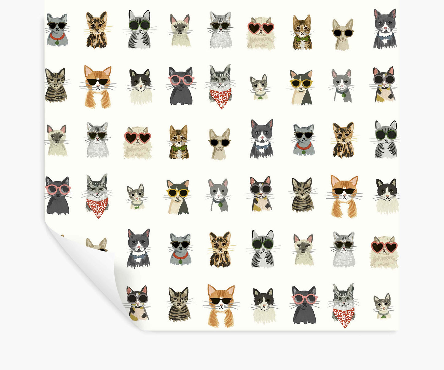 Cool Cats Peel & Stick Wallpaper - White Multi - Peel and Stick Wallpaper