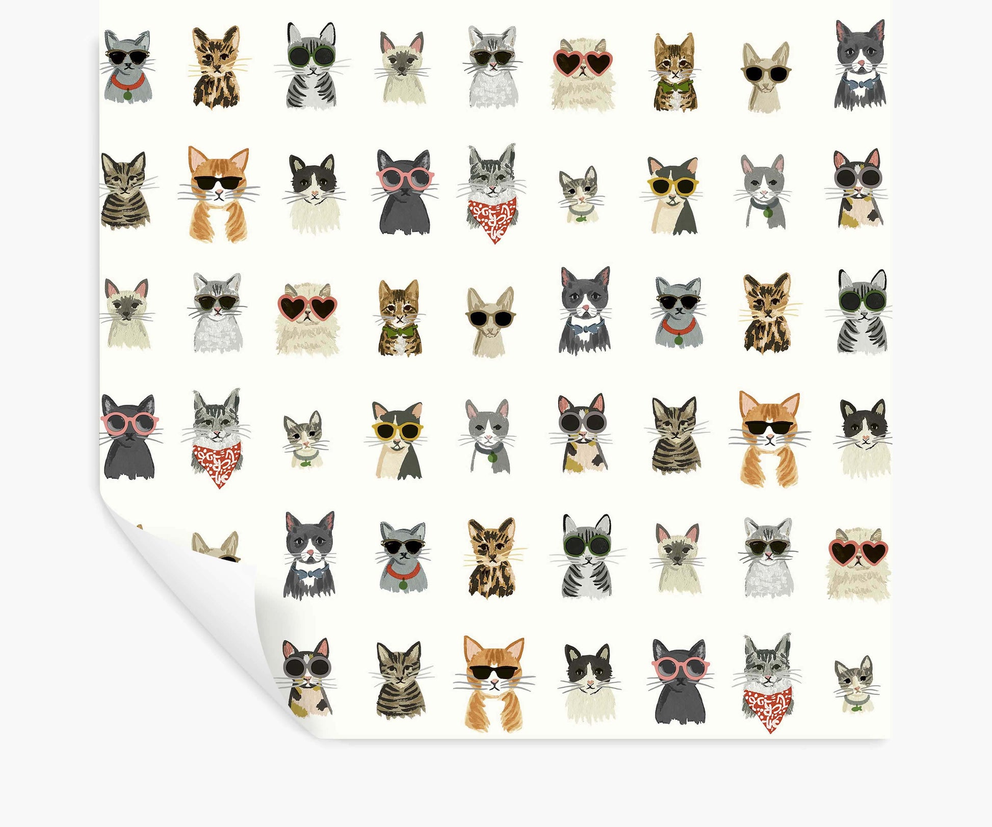 Cool Cats Peel & Stick Wallpaper - White Multi - Peel and Stick Wallpaper