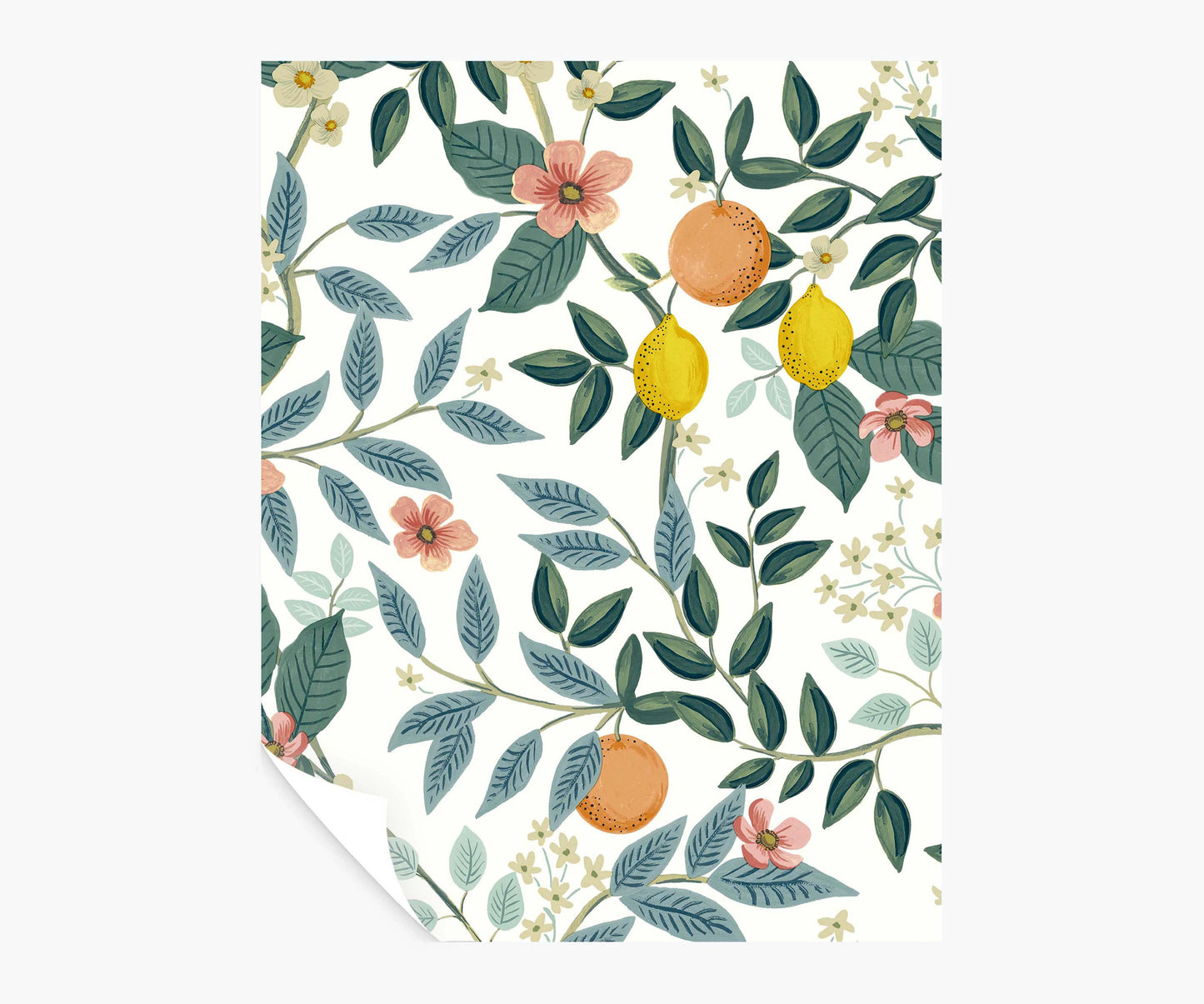 Citrus Grove Peel & Stick Wallpaper Sample - White - Peel and Stick Wallpaper