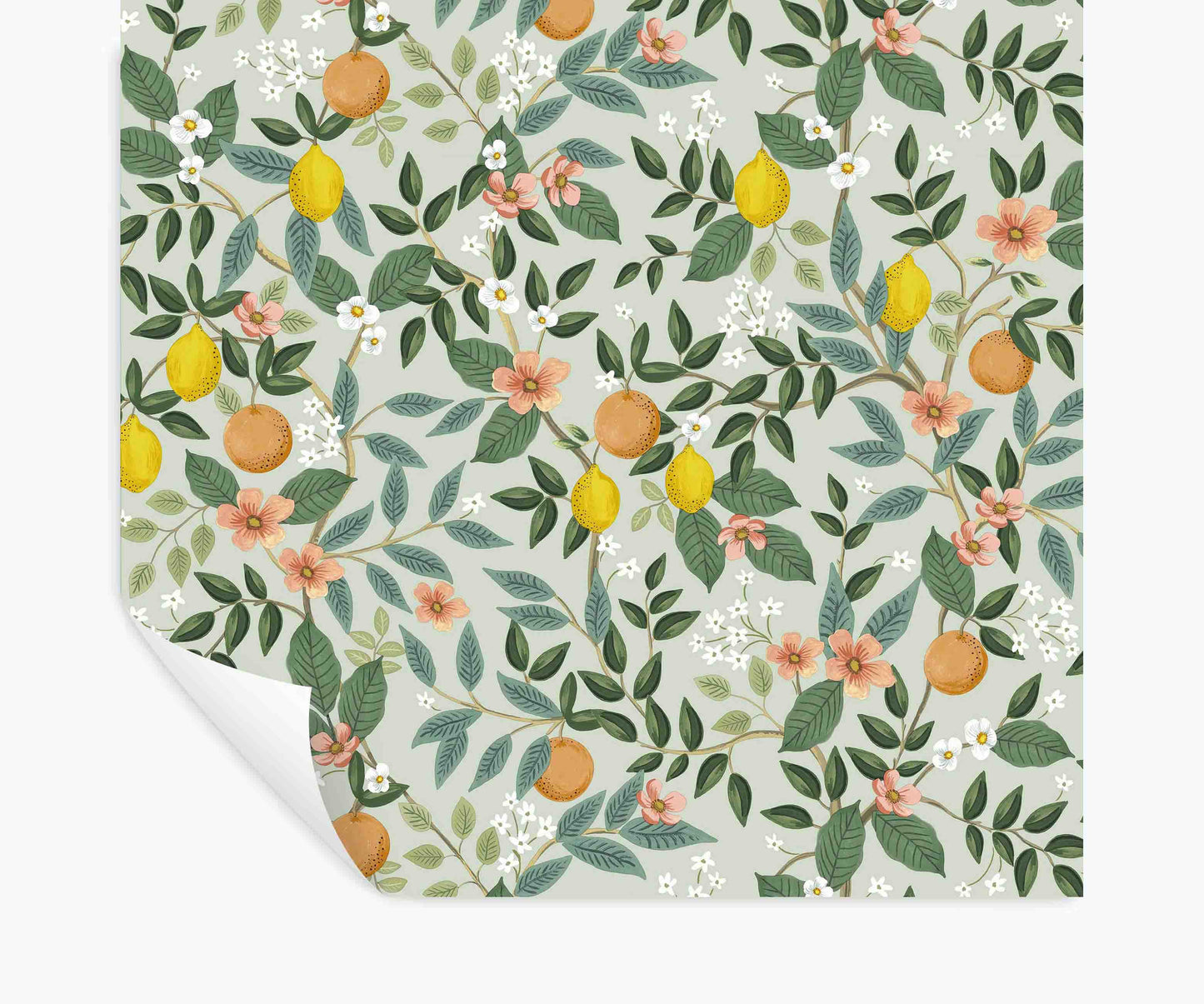 Citrus Grove Peel & Stick Wallpaper - Mint - Peel and Stick Wallpaper