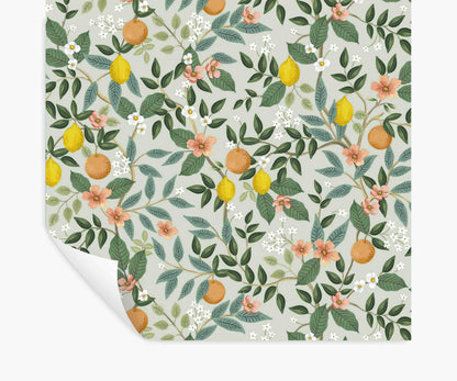 Citrus Grove Peel & Stick Wallpaper - Mint - Peel and Stick Wallpaper